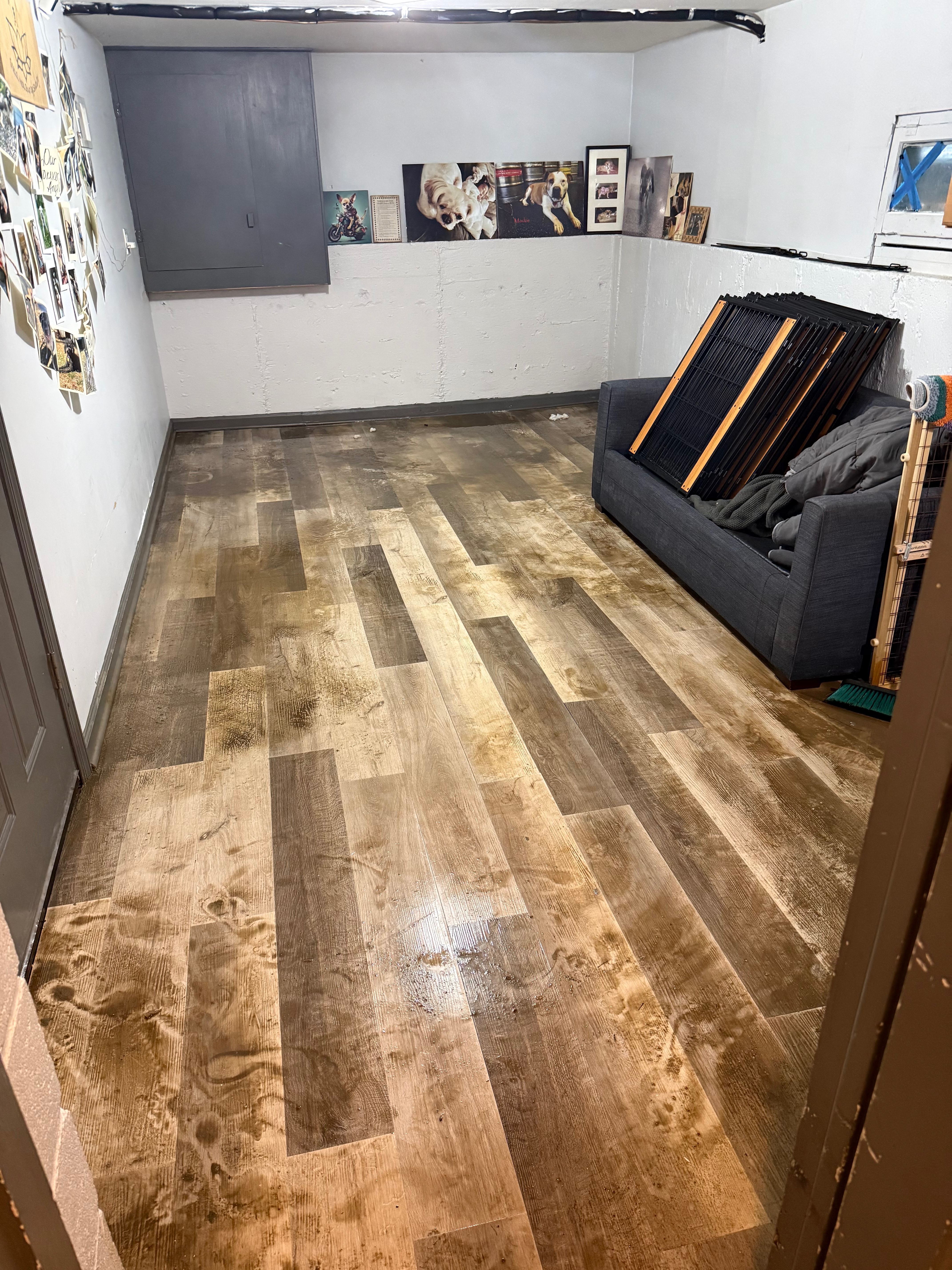 Help Restore Our Senior Dog Sanctuary After Flood campaign photo, 6 of 7