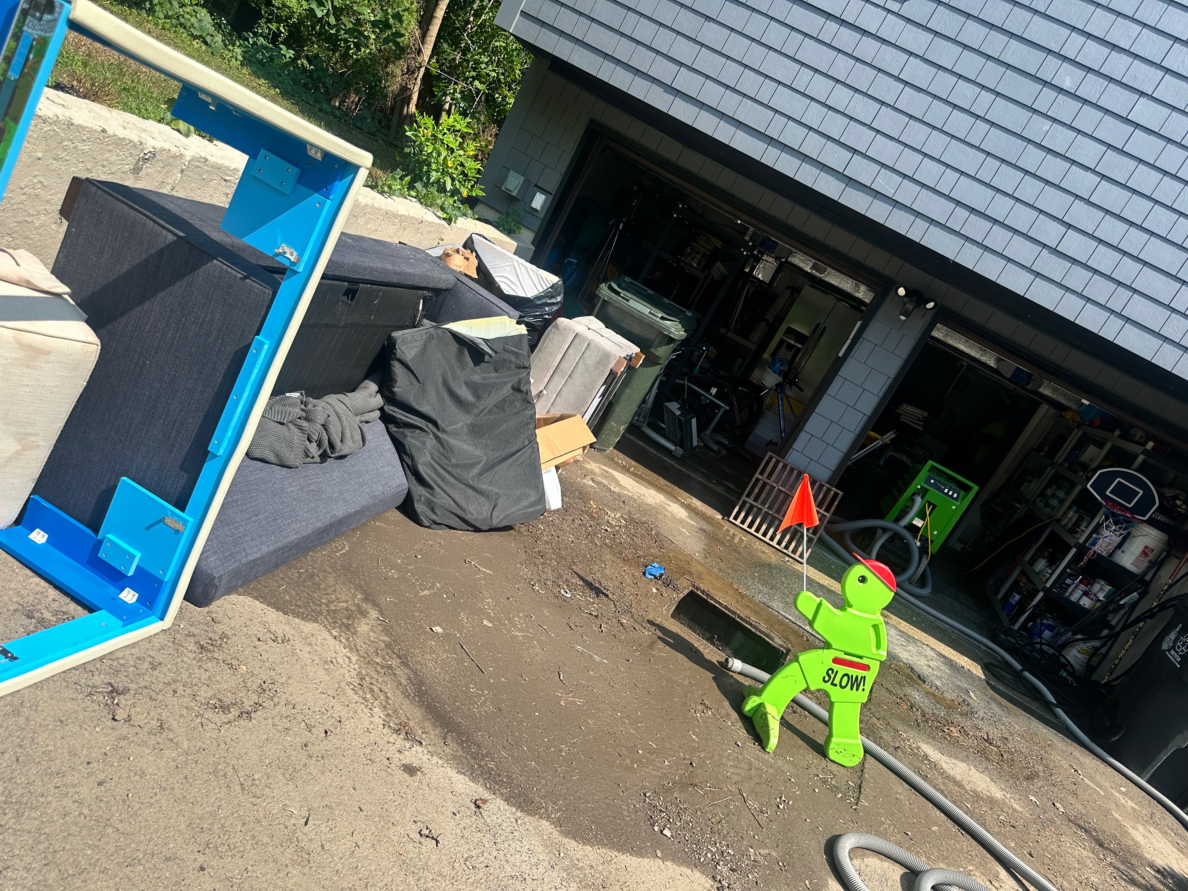 Help Restore Our Senior Dog Sanctuary After Flood campaign photo, 5 of 7