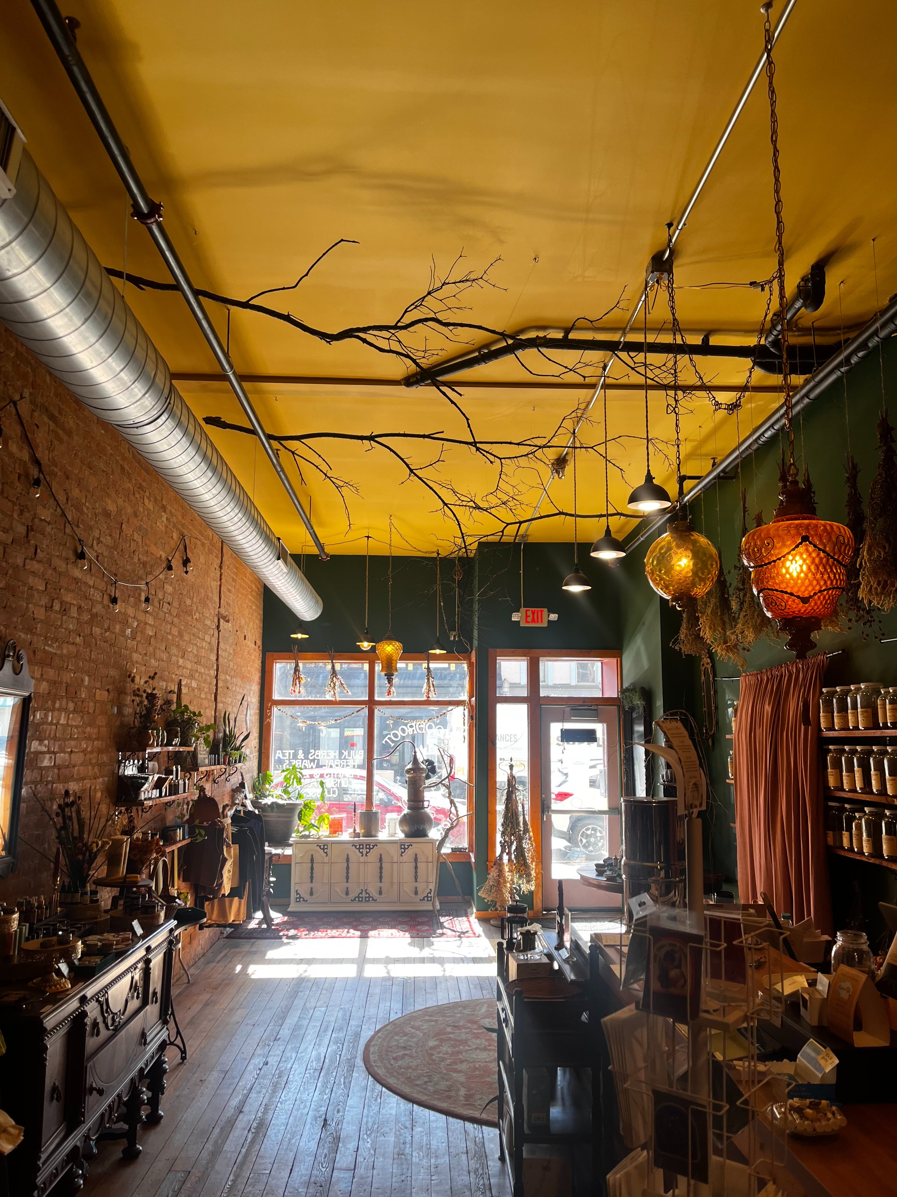 Help Bloodroot Apothecary Survive & Thrive campaign photo, 2 of 7