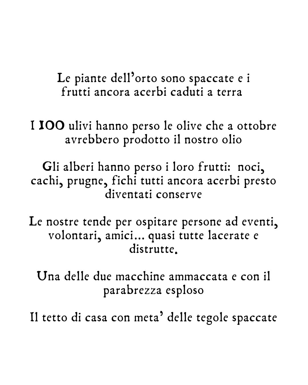 La grandine ha distrutto tutto campaign photo, 7 of 8