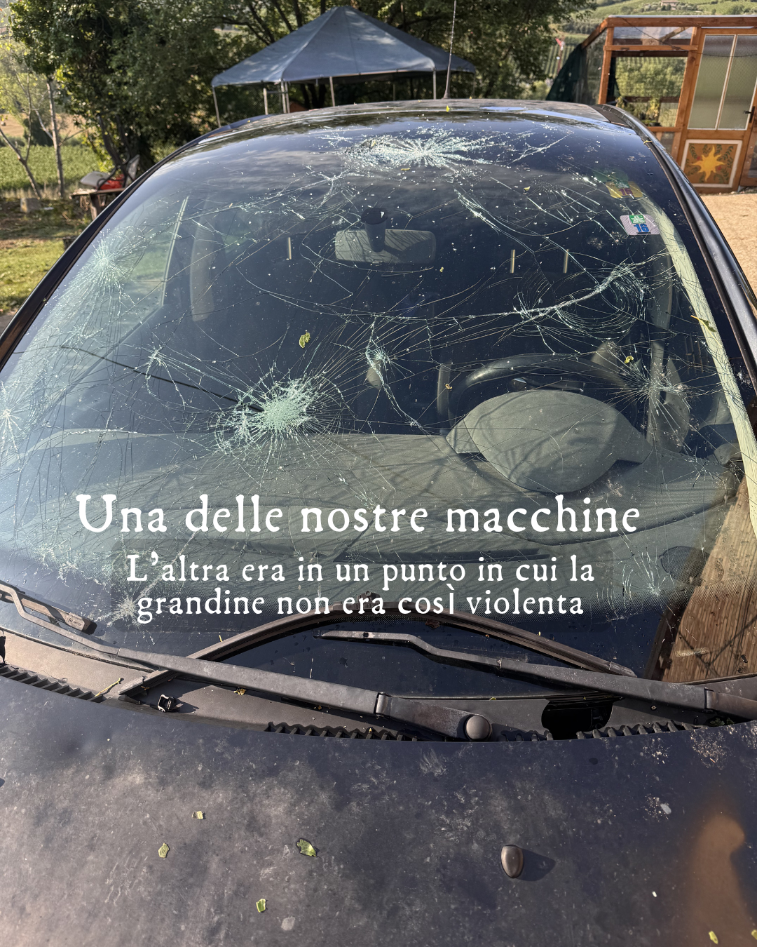 La grandine ha distrutto tutto campaign photo, 2 of 8