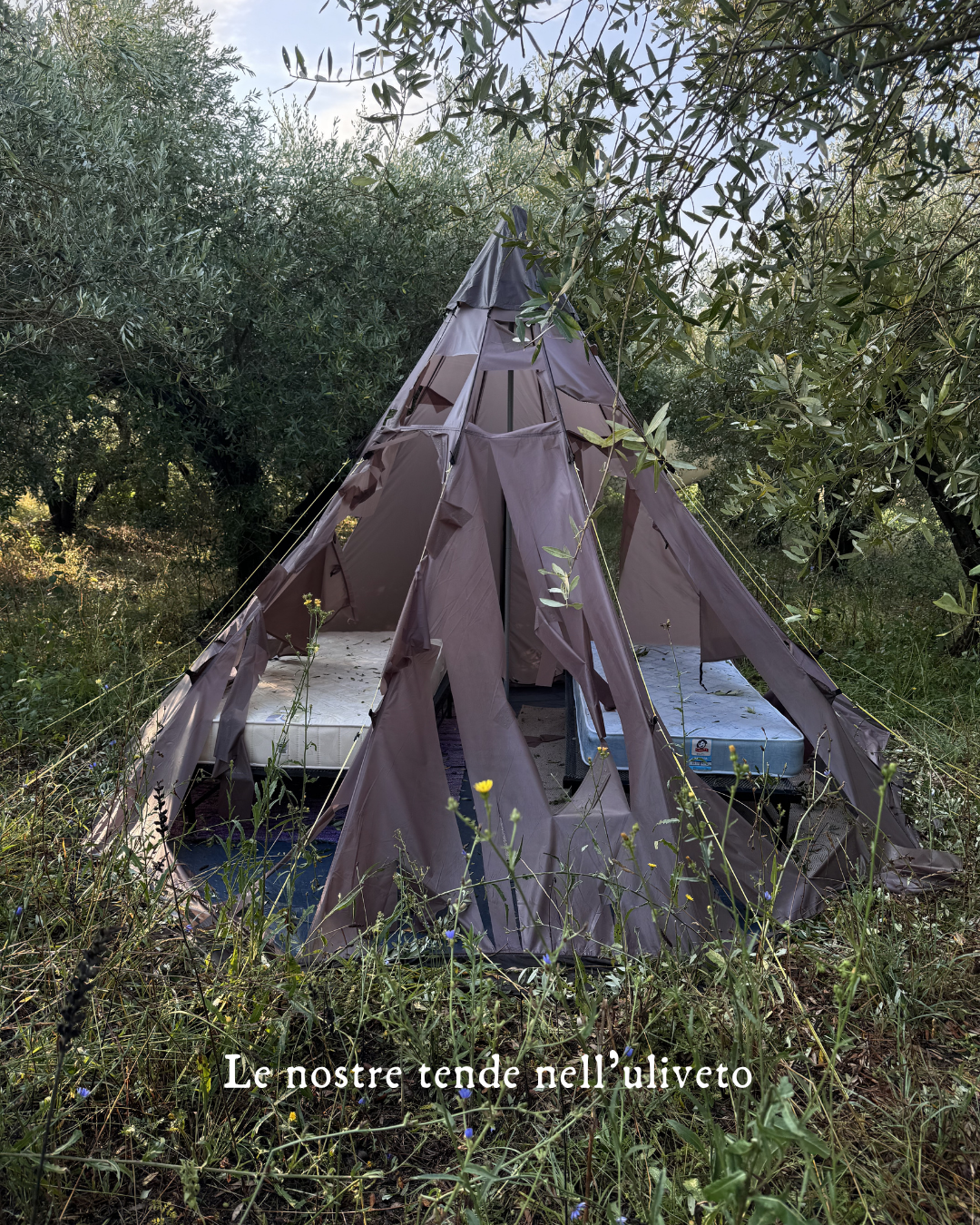 La grandine ha distrutto tutto campaign photo, 5 of 8