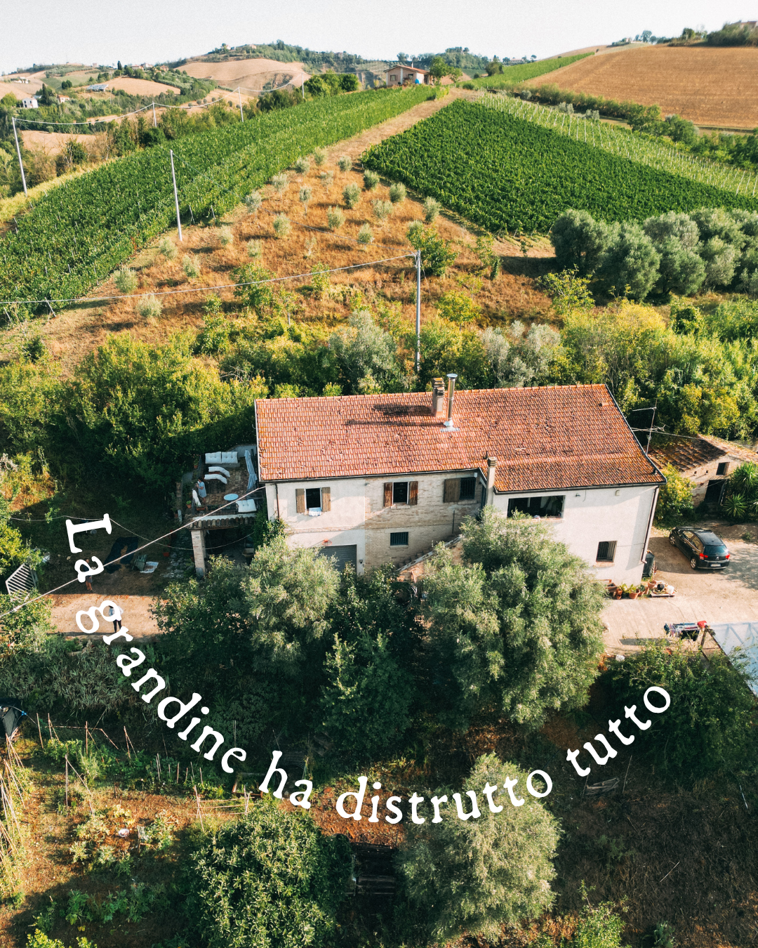 La grandine ha distrutto tutto campaign photo, 4 of 8