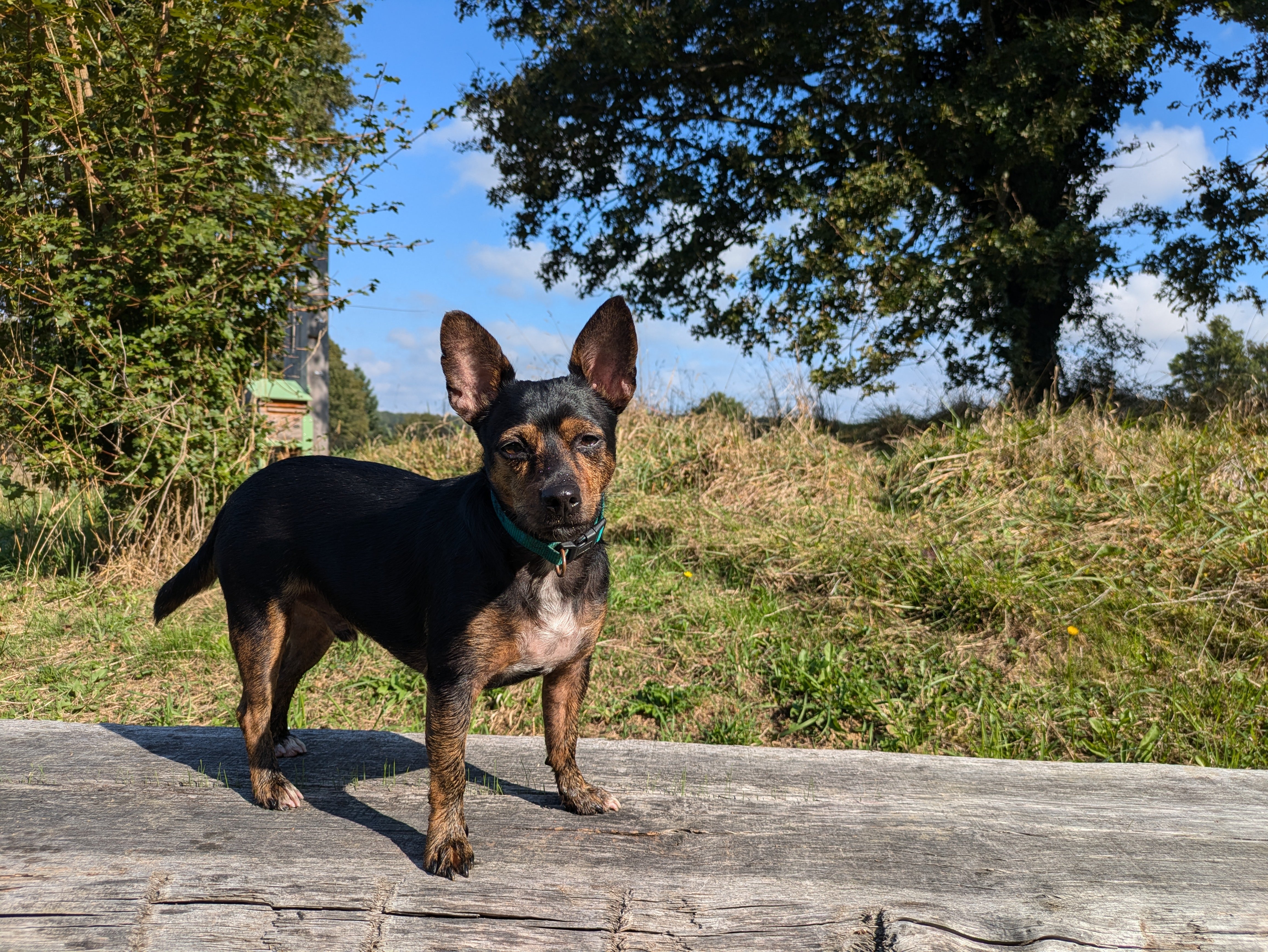 Photo de la campagne Aidons mon bébé pour qu il ne souffre plus, 6 sur 8