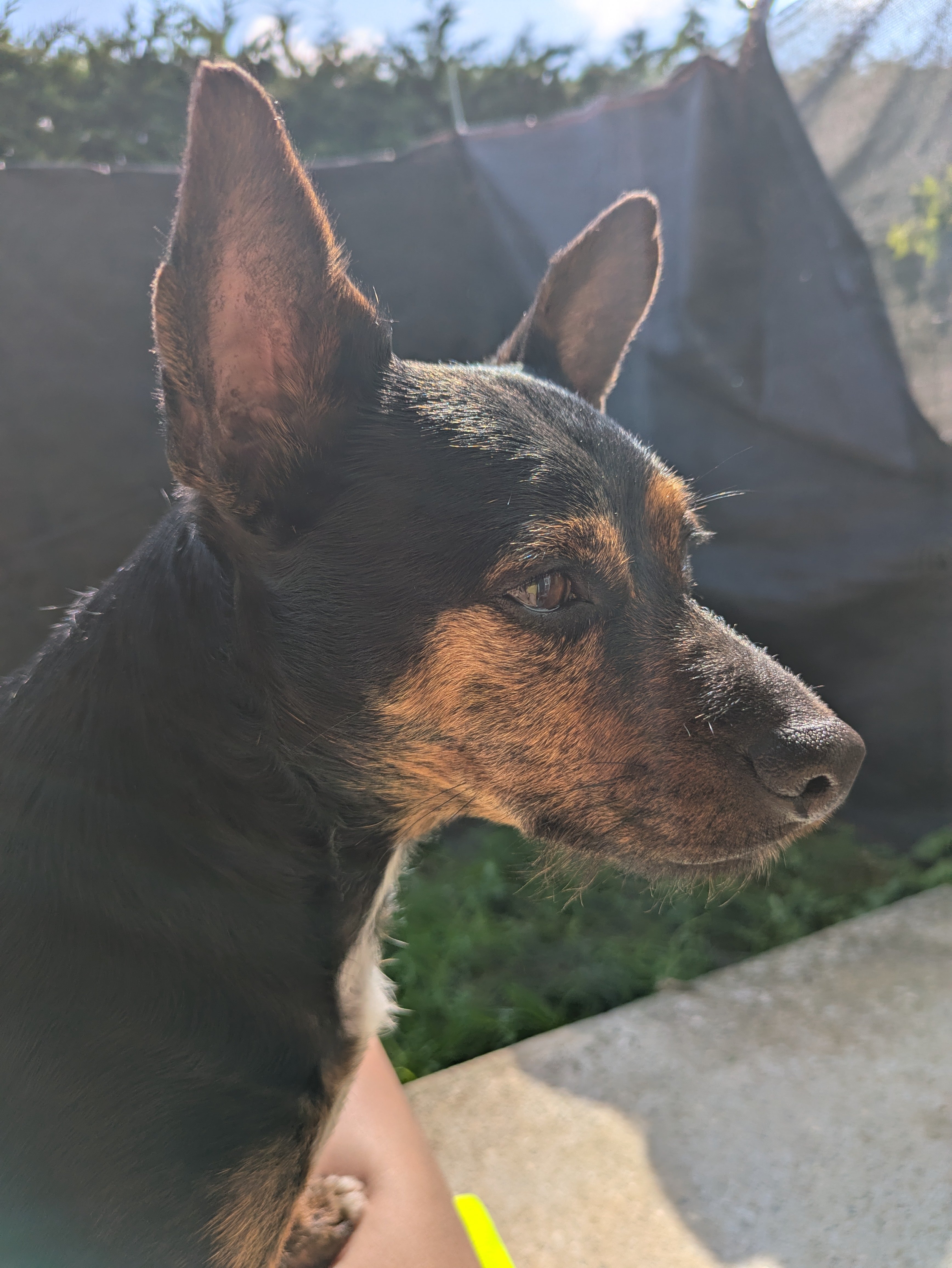 Photo de la campagne Aidons mon bébé pour qu il ne souffre plus, 4 sur 8