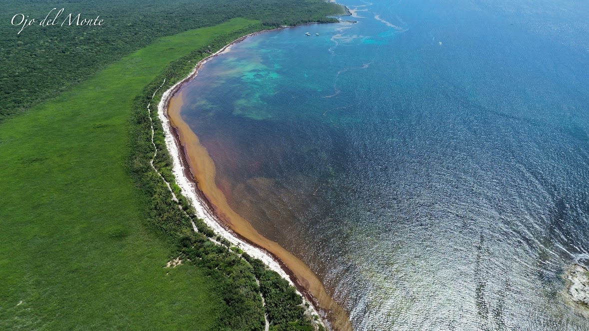 Salvemos Punta Venado en Quintana Roo campaign photo, 2 of 6