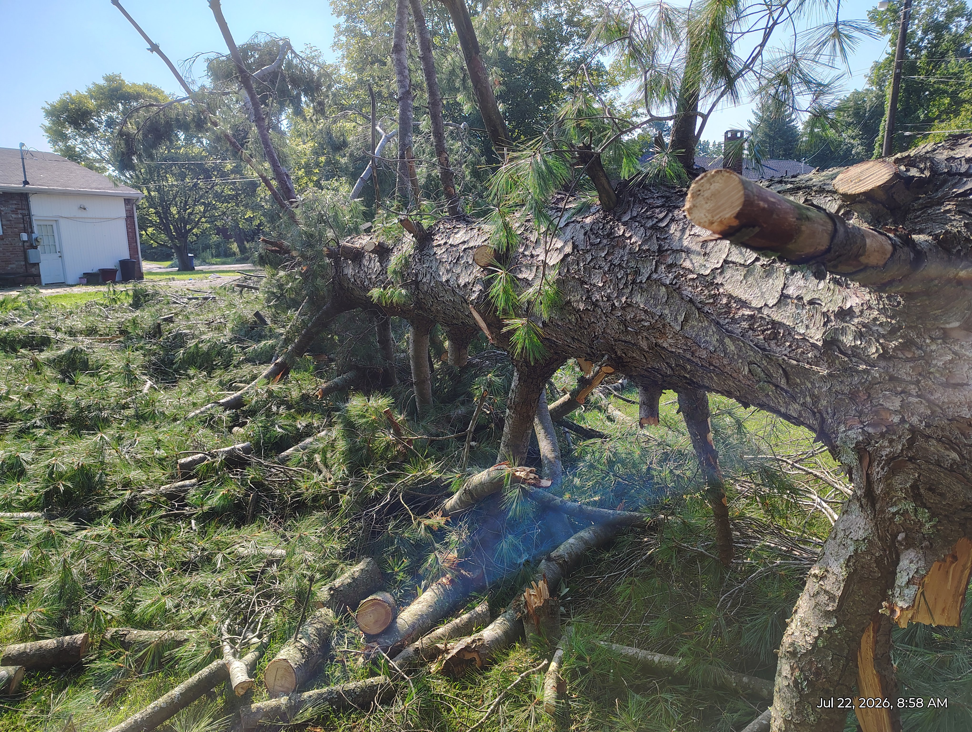Help Kayce and Pet Recover from Storm Damage campaign photo, 4 of 6