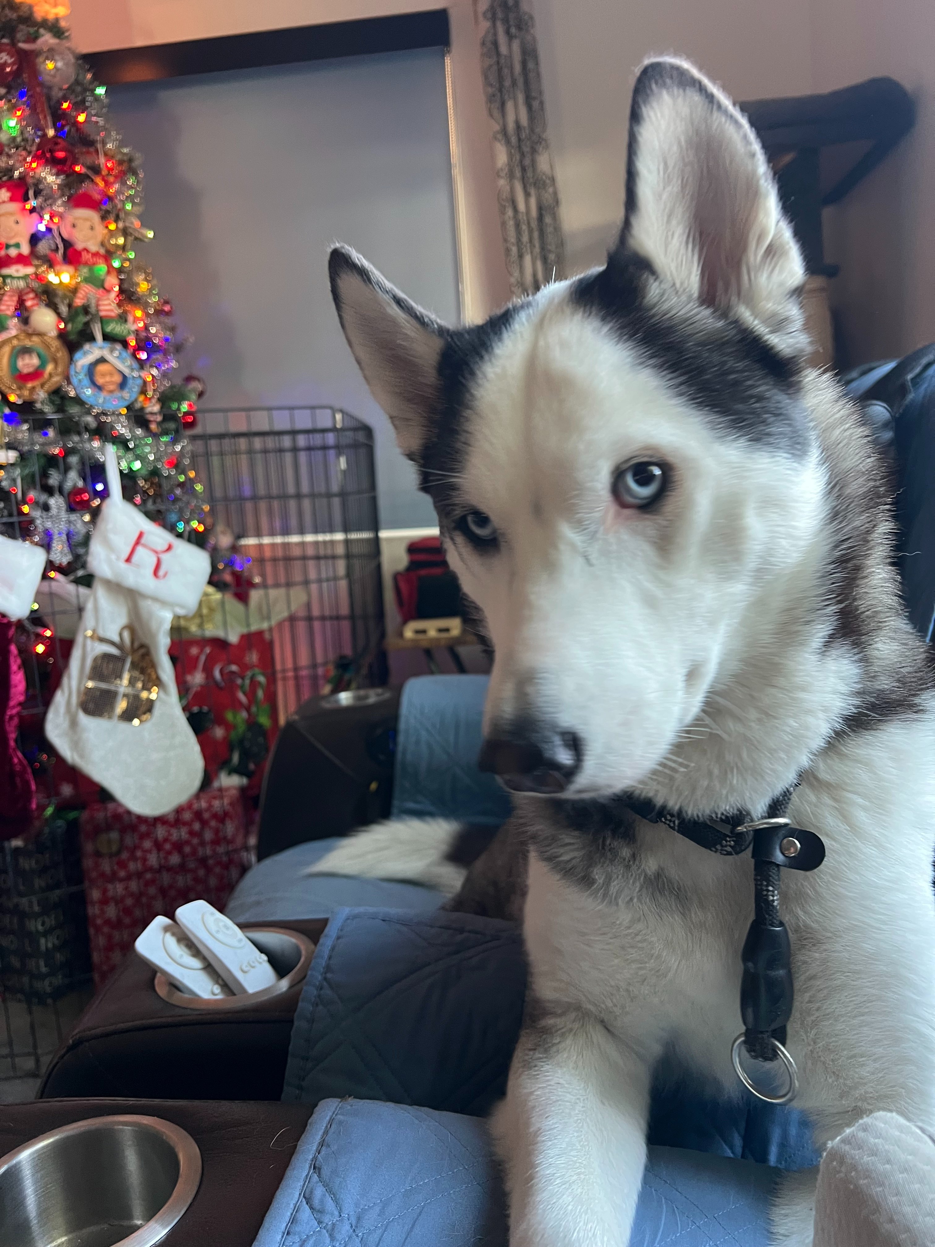 Help Athena Fight Spinal Tumor and Medical Costs campaign photo, 4 of 8