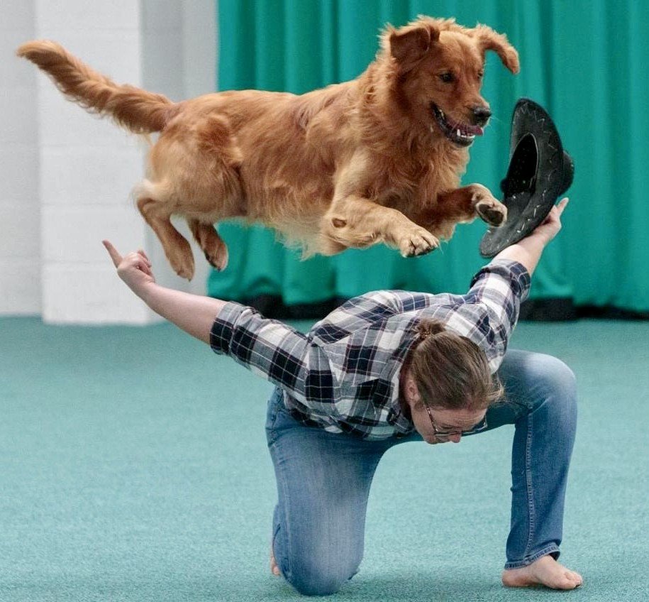 Get Claire and Dexter to the EOC in Sweden campaign photo, 2 of 8