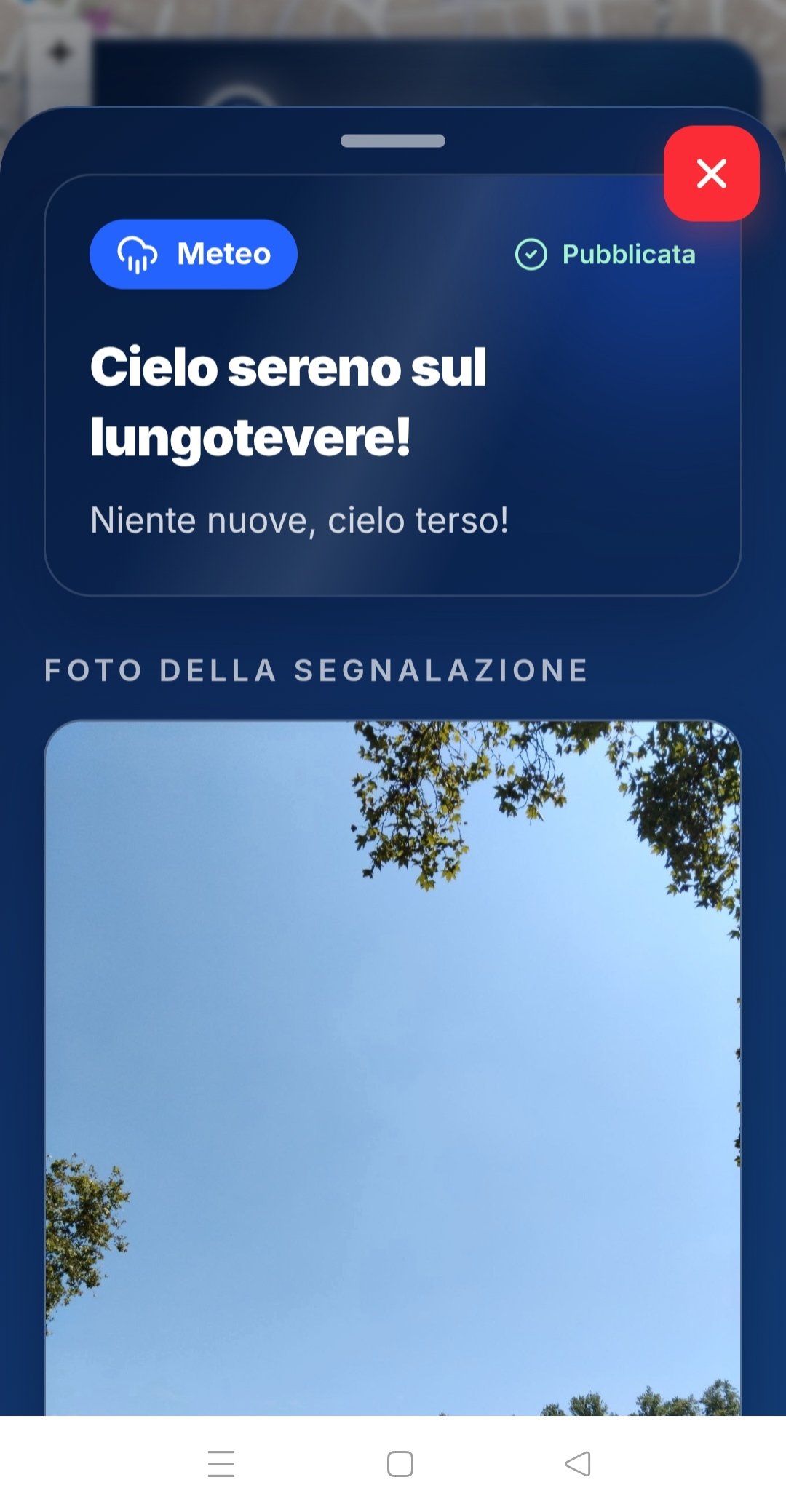 Dona per Commety: una piattaforma italiana per il sociale campaign photo, 2 of 8
