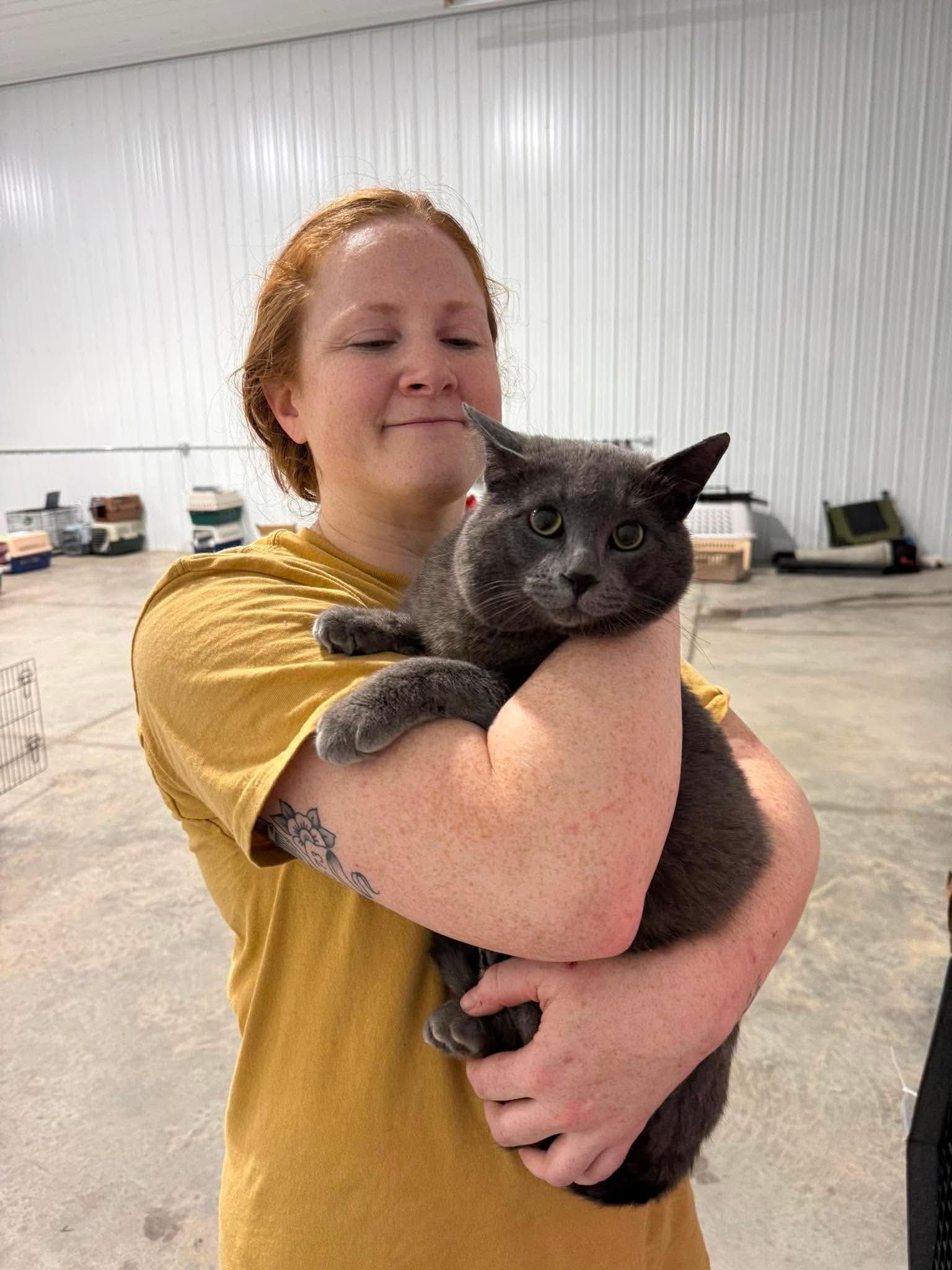 Amanda's Legacy Spay & Neuter Clinics campaign photo, 6 of 8