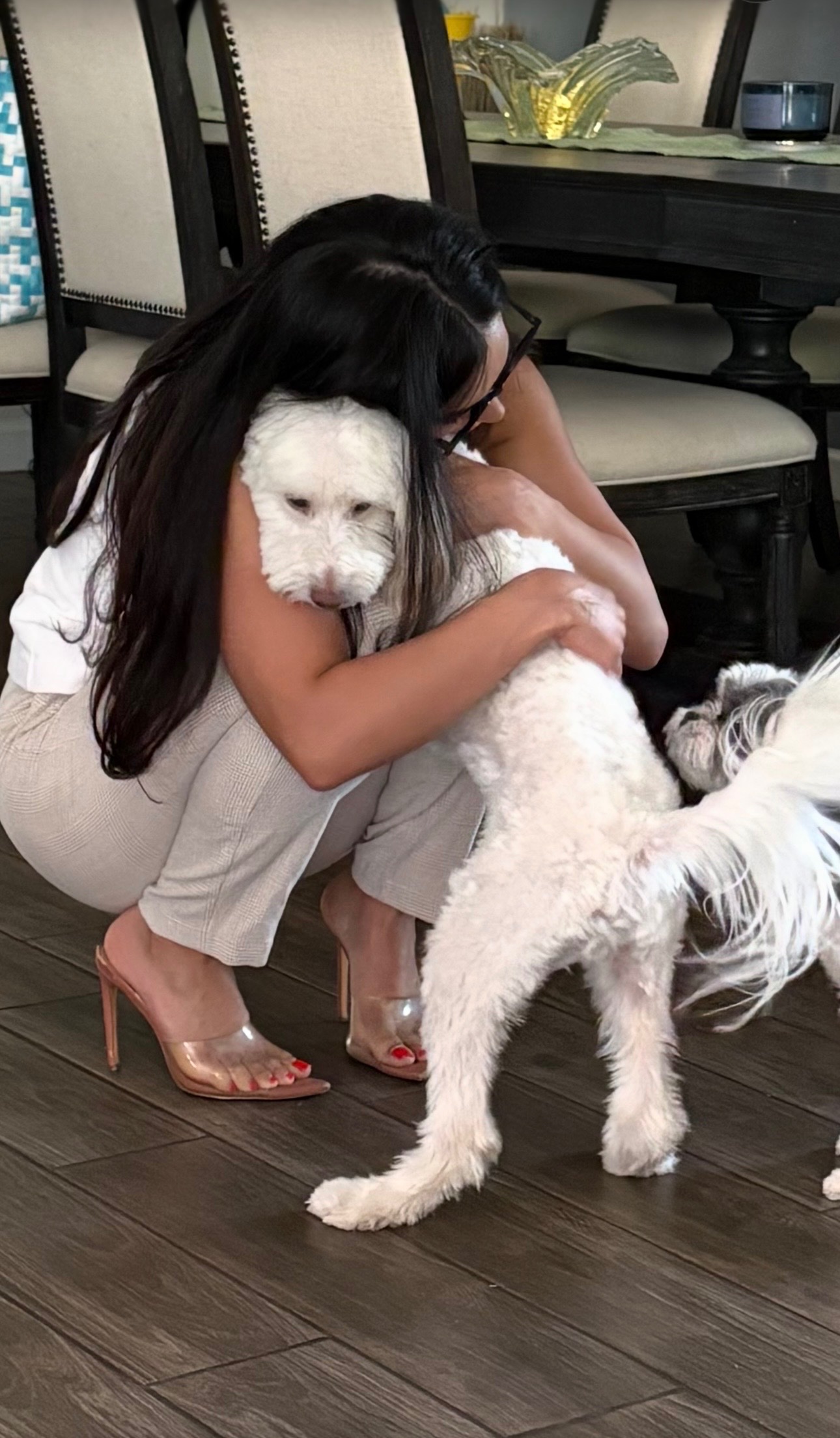 Help My Dog Fight Splenic Hemangiosarcoma campaign photo, 8 of 9