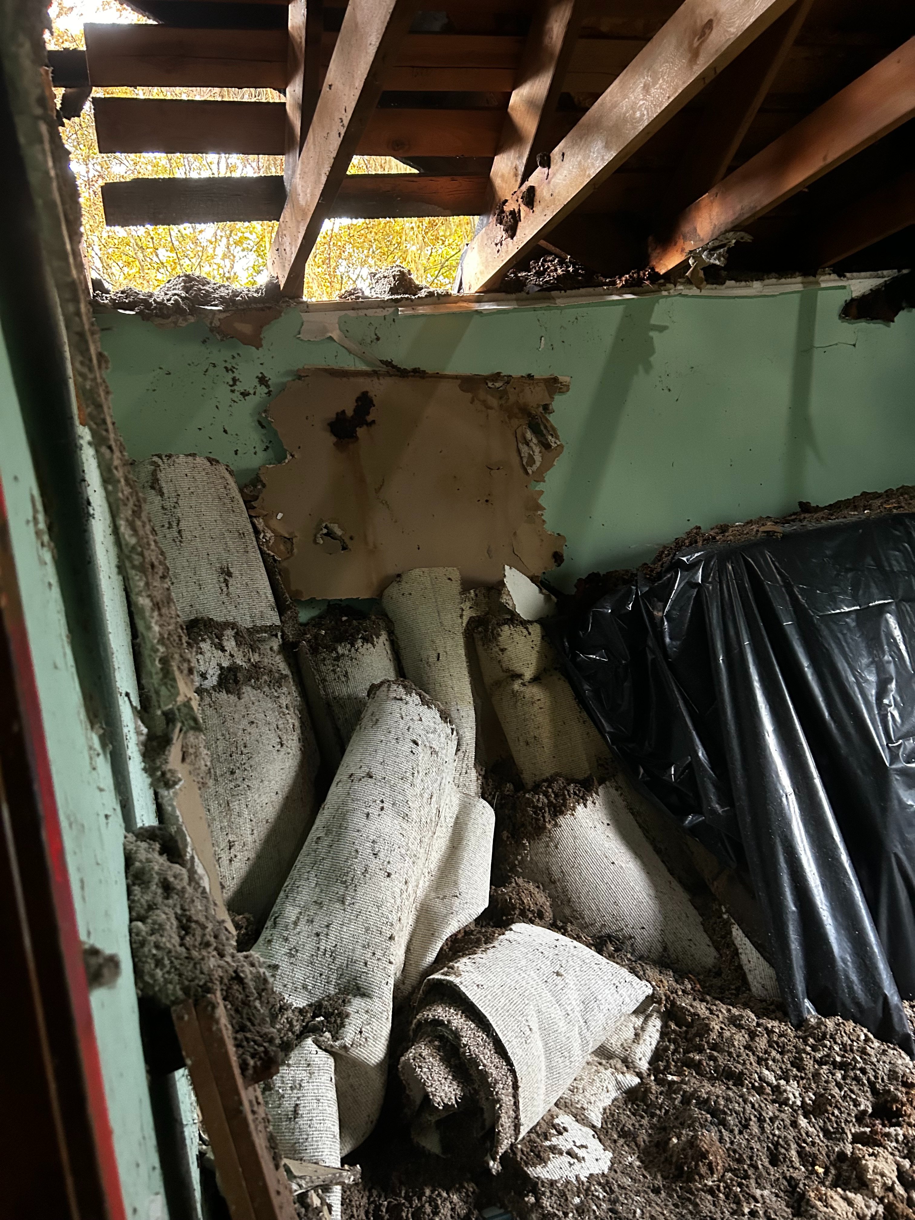 Support for the Goudge-Murphy Family After House Fire campaign photo, 4 of 7