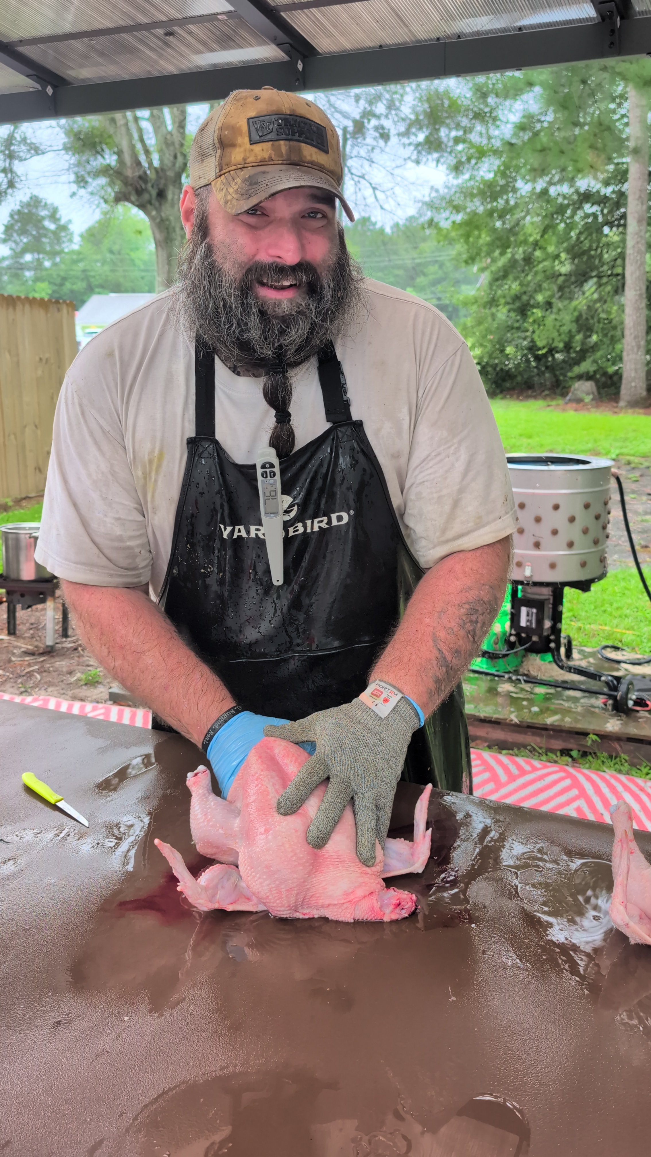 Help Us Build Our Homestead Dream campaign photo, 4 of 8