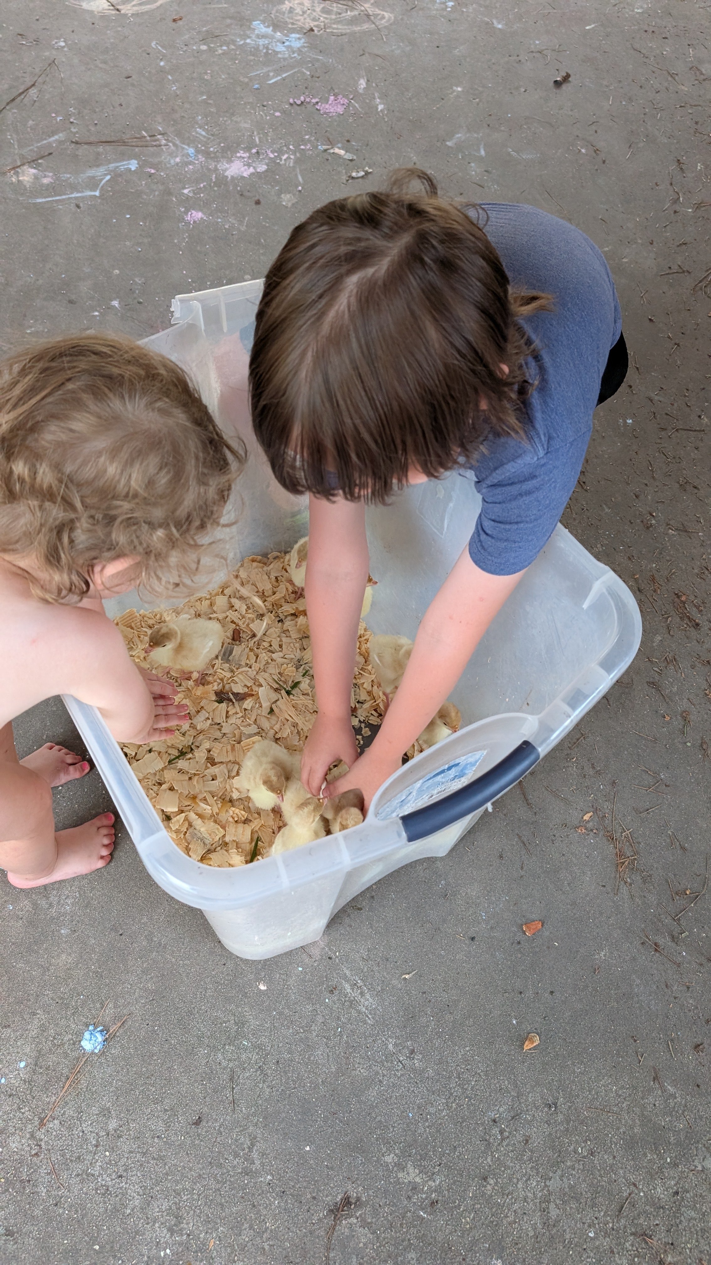 Help Us Build Our Homestead Dream campaign photo, 6 of 8