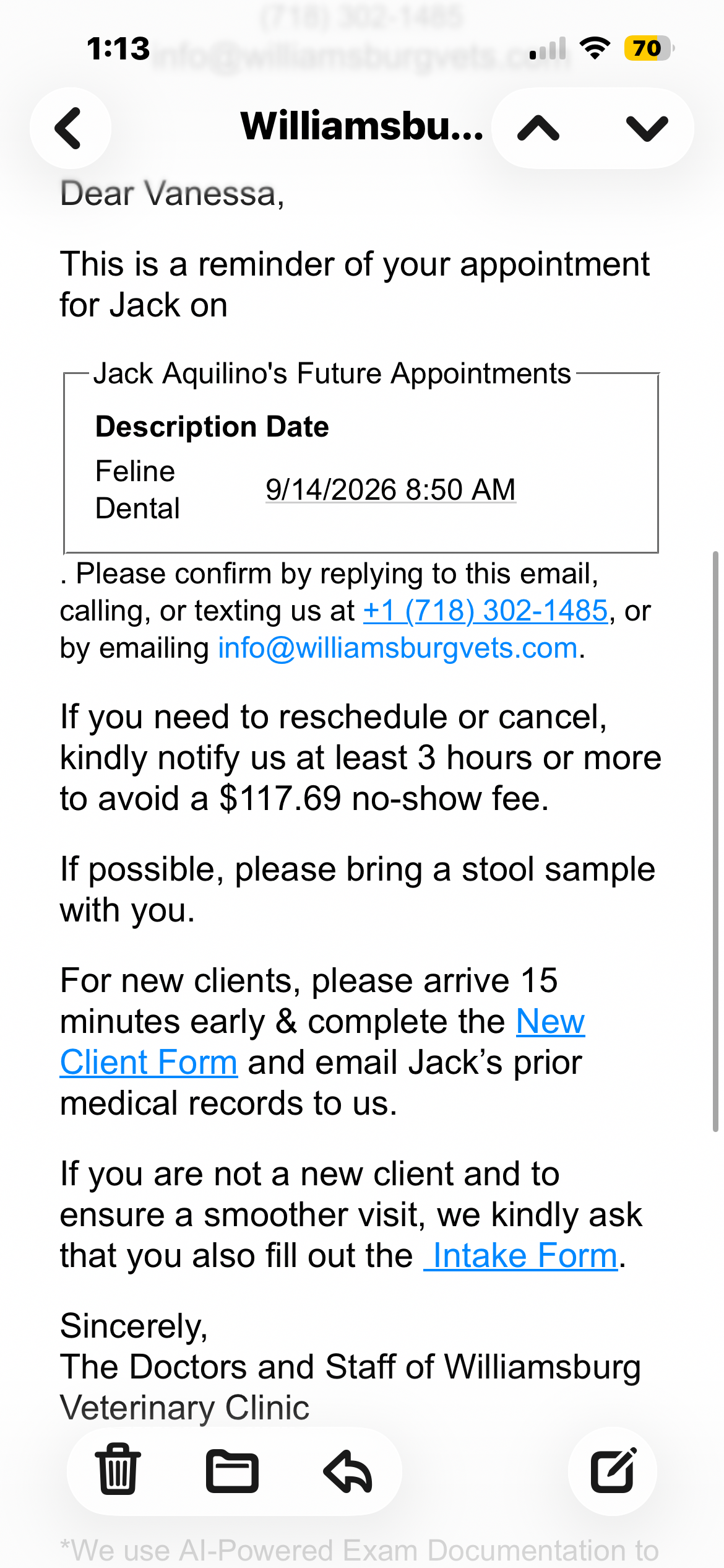 Help Jack the Cat Get His Dental Surgery campaign photo, 4 of 8