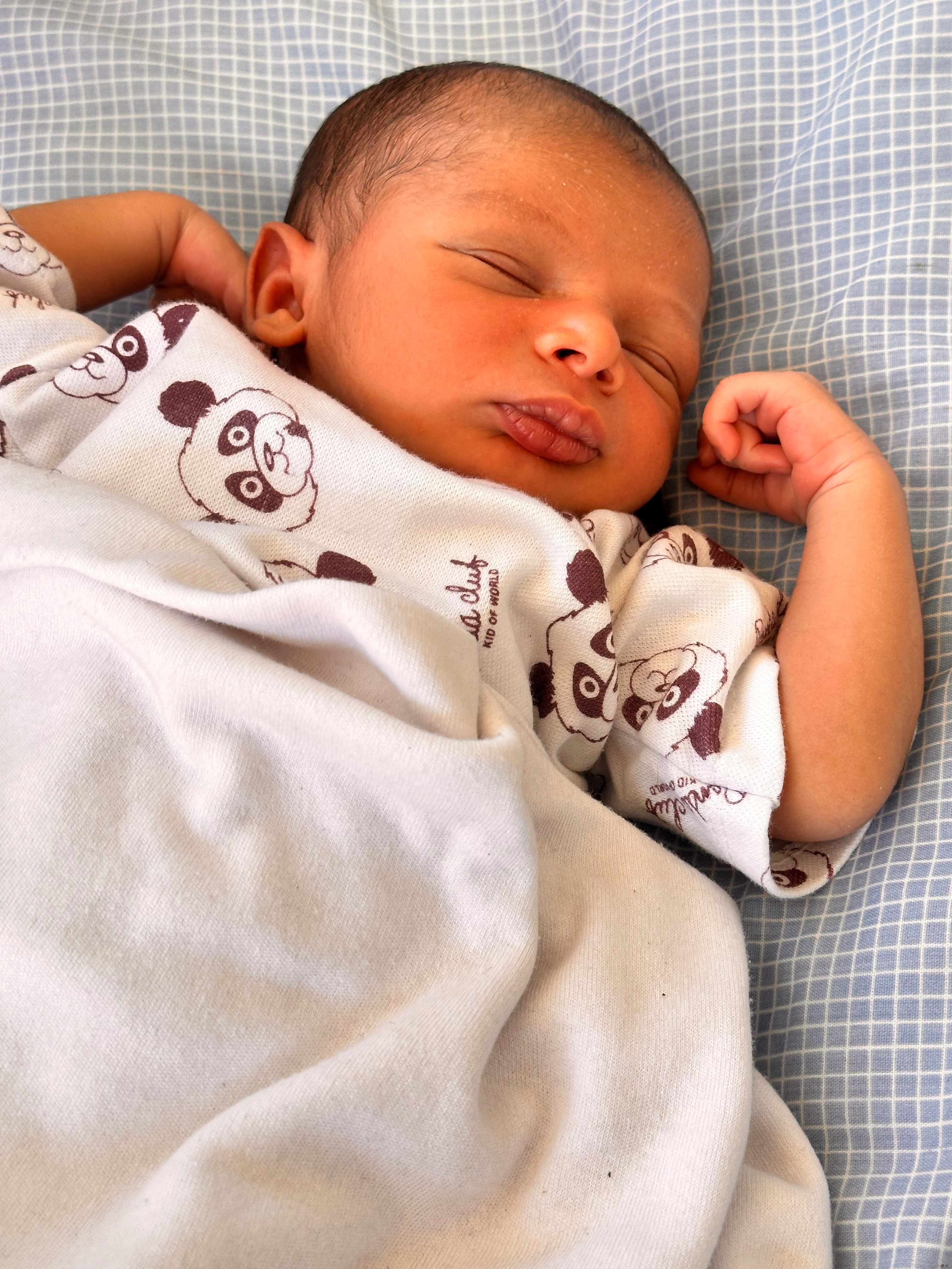 Help Nour and his family survive in Gaza campaign photo, 2 of 4