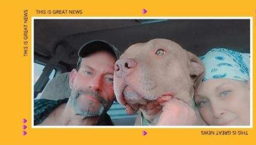 Louis Briley - Help Nelson Reed’s Wife With Funeral and Dog Care