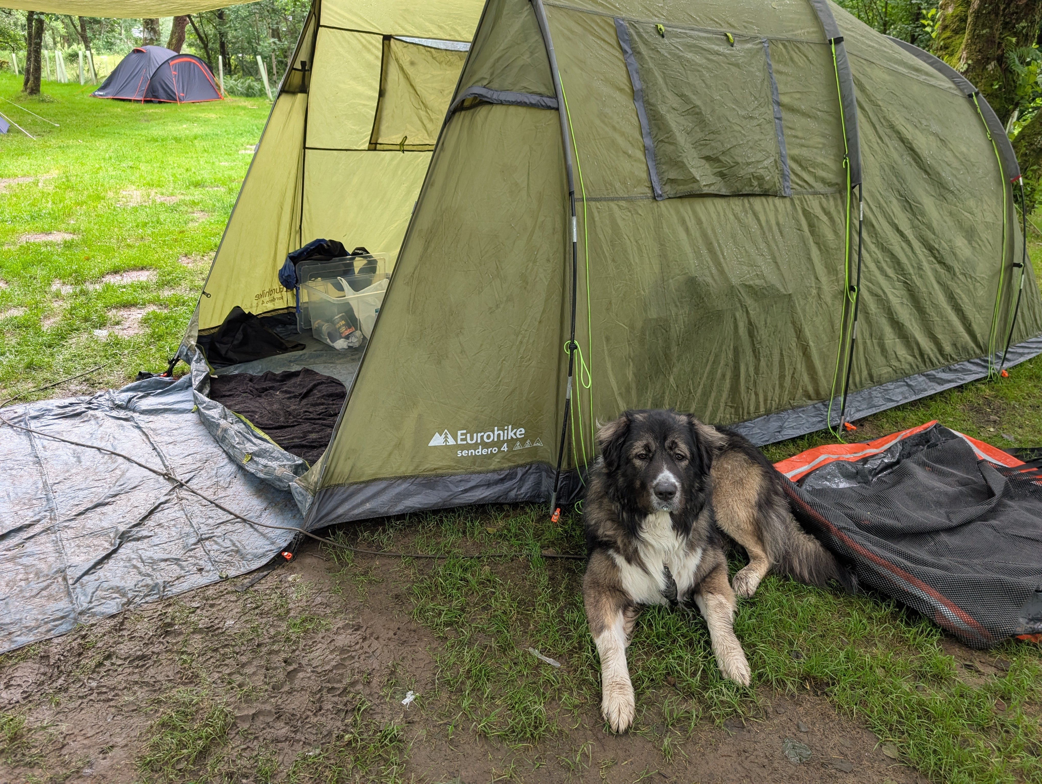 Food and essentials for my dog and the occasional facilities campaign photo, 5 of 7