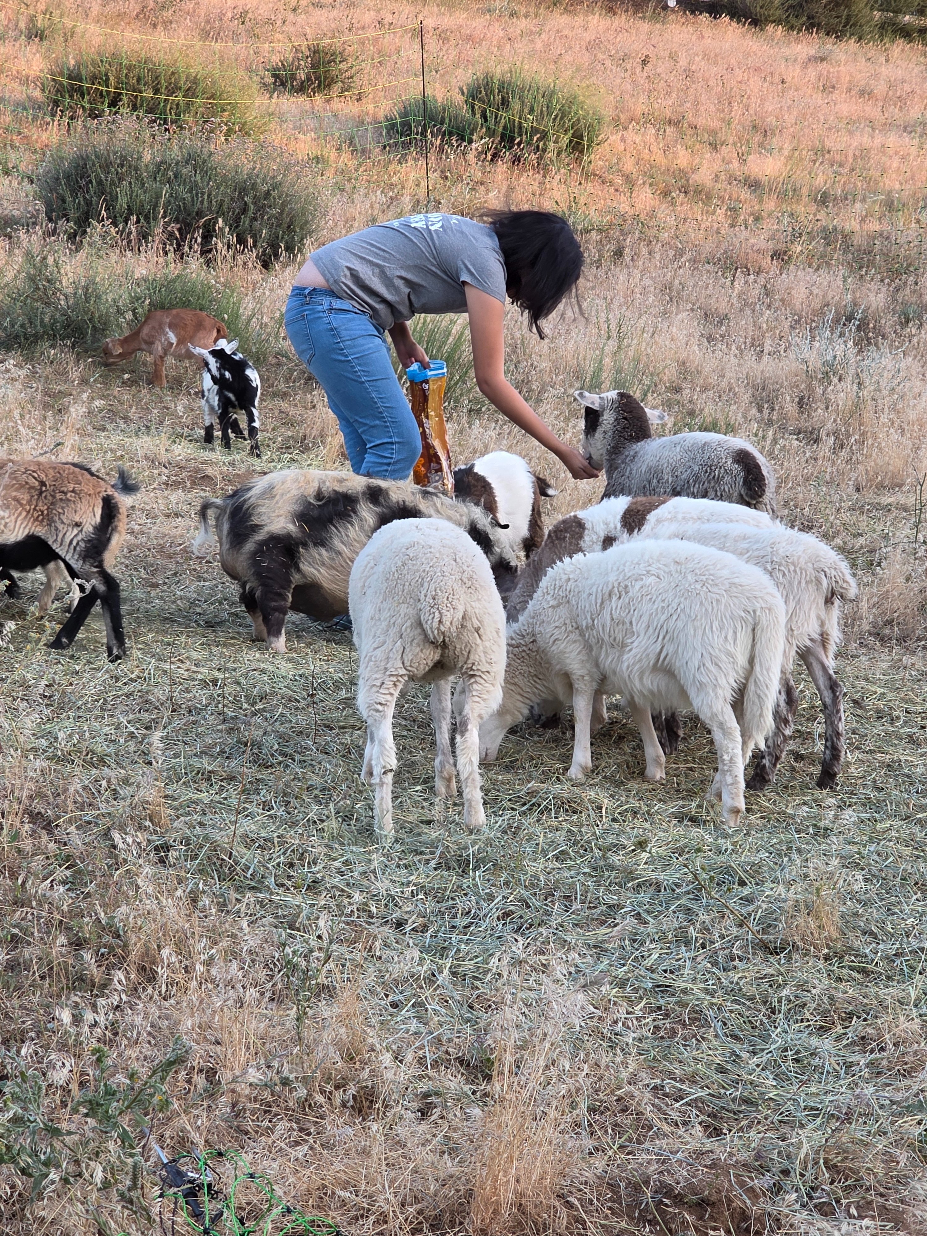Help Bring Cinnamon Home to CK Ranch campaign photo, 7 of 8