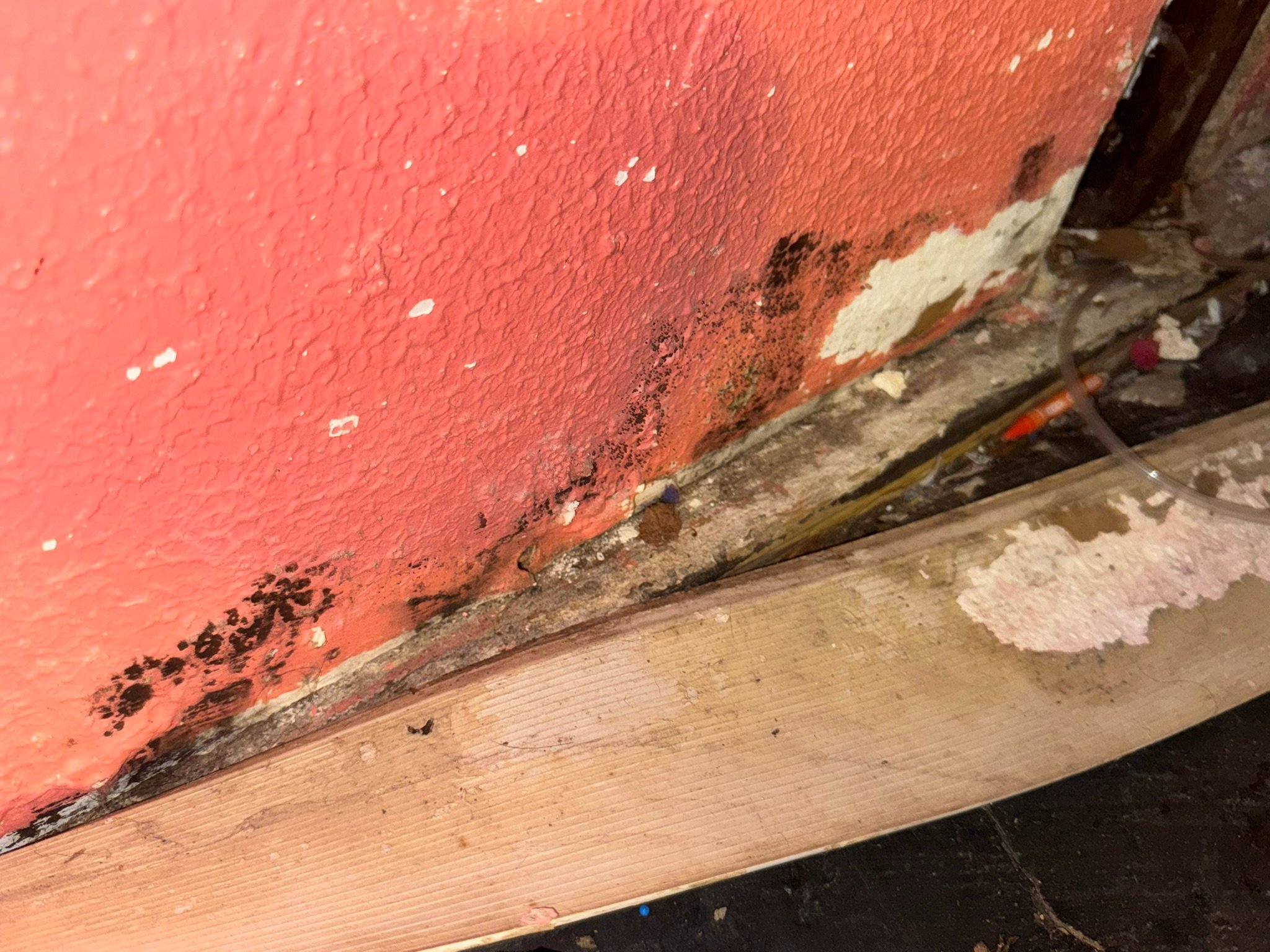 Help a Family of Six Rebuild After Flooding campaign photo, 5 of 8