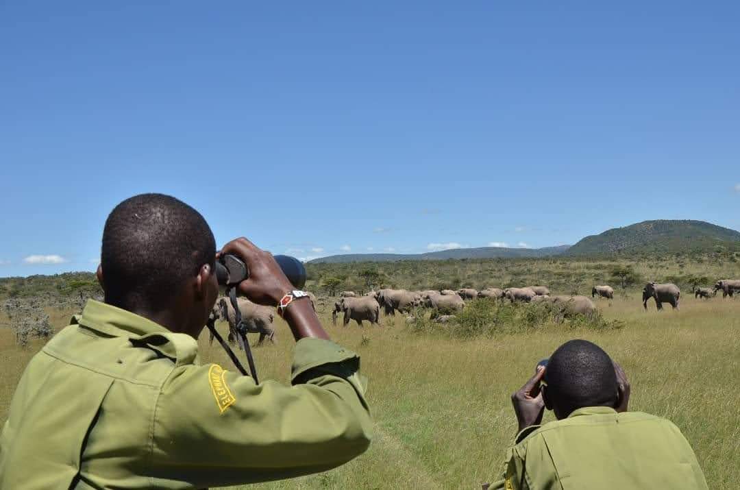Preventing Human Wildlife Conflict - Support Elephant Aware campaign photo, 7 of 8