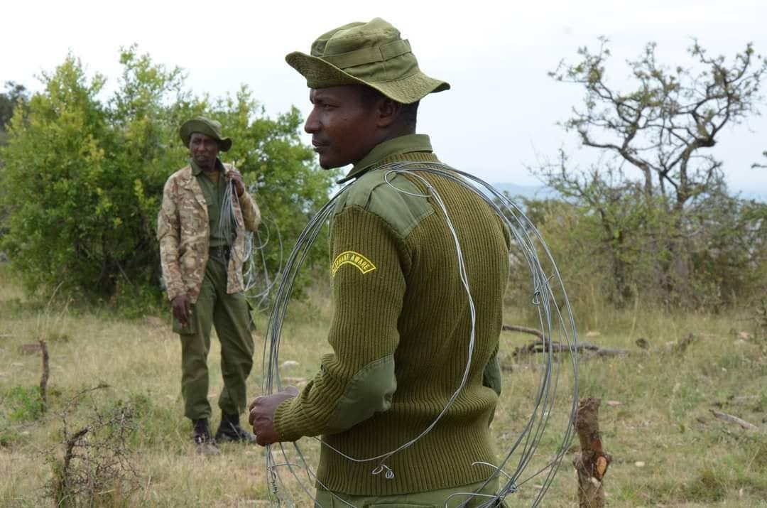 Preventing Human Wildlife Conflict - Support Elephant Aware campaign photo, 2 of 8