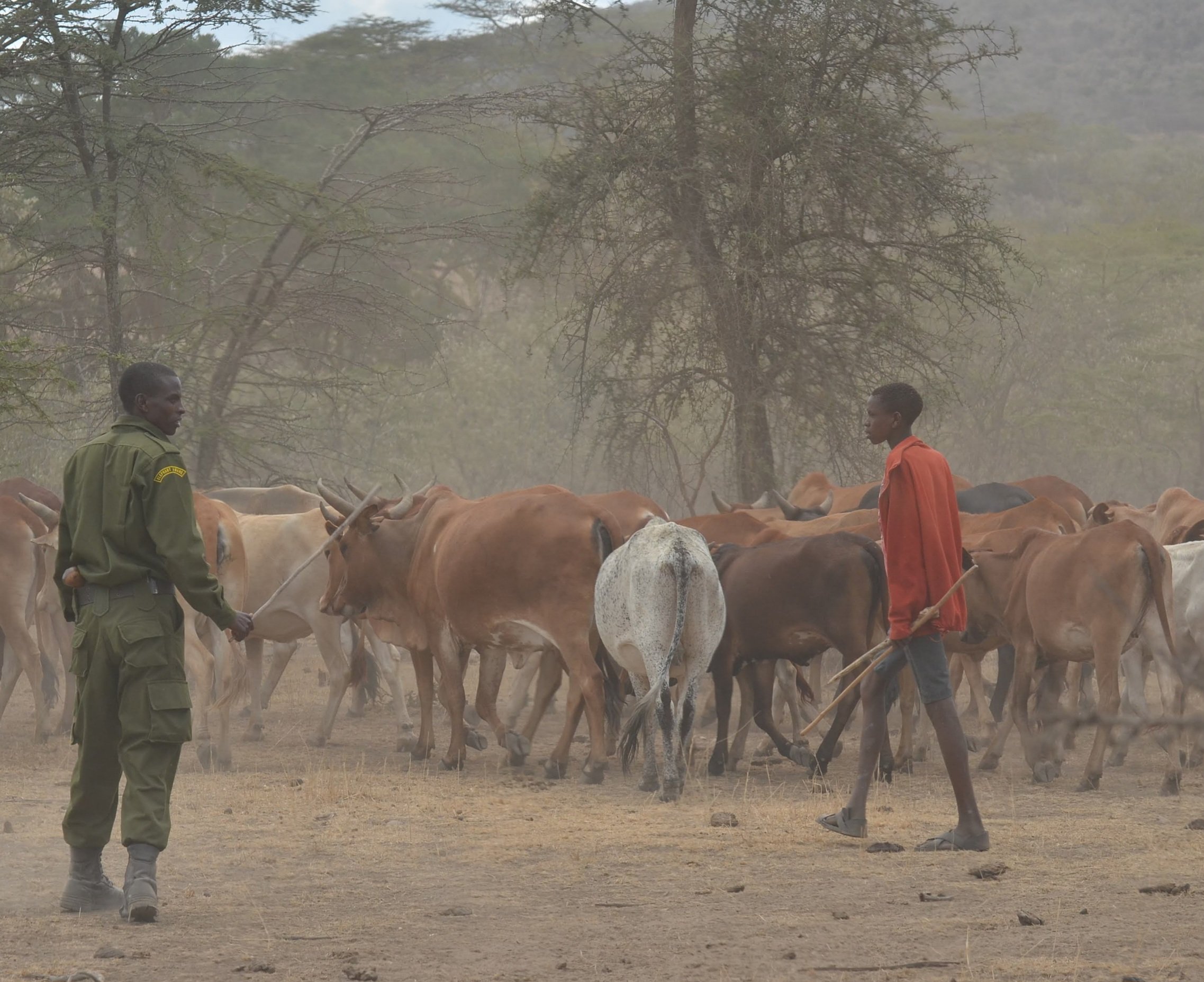 Preventing Human Wildlife Conflict - Support Elephant Aware campaign photo, 6 of 8