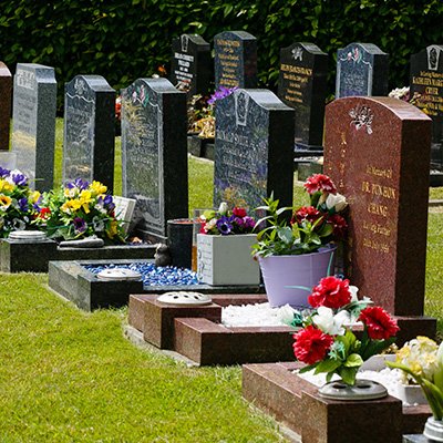 Aidens Memorial Plot campaign photo, 4 of 6