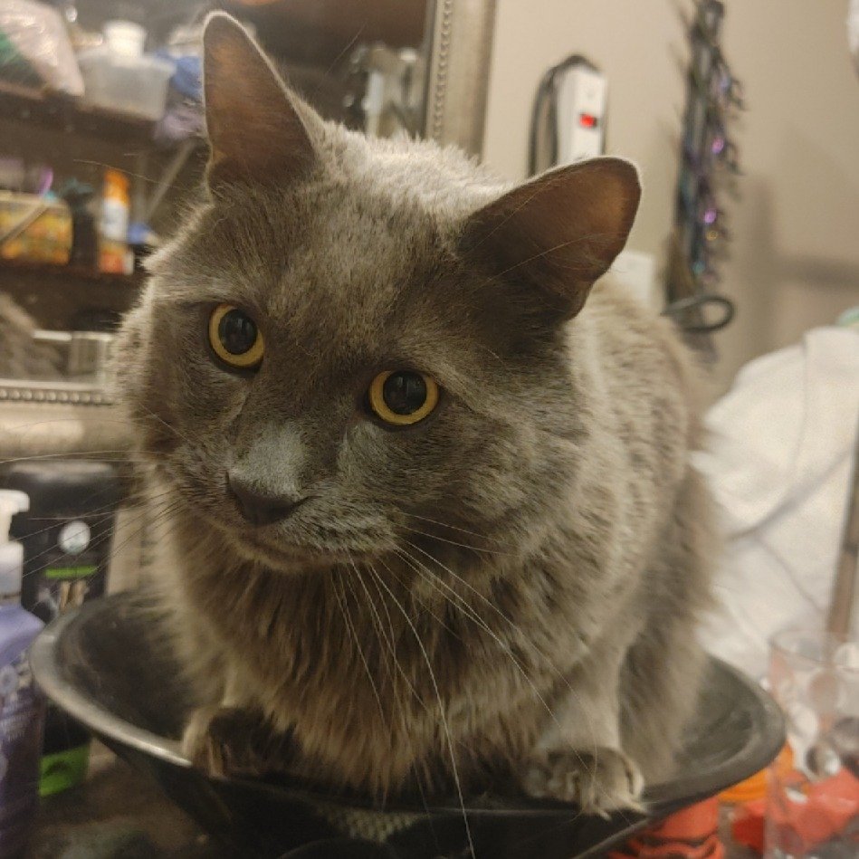 Help Catastrophe Get Cancer Treatment and Care campaign photo, 7 of 8