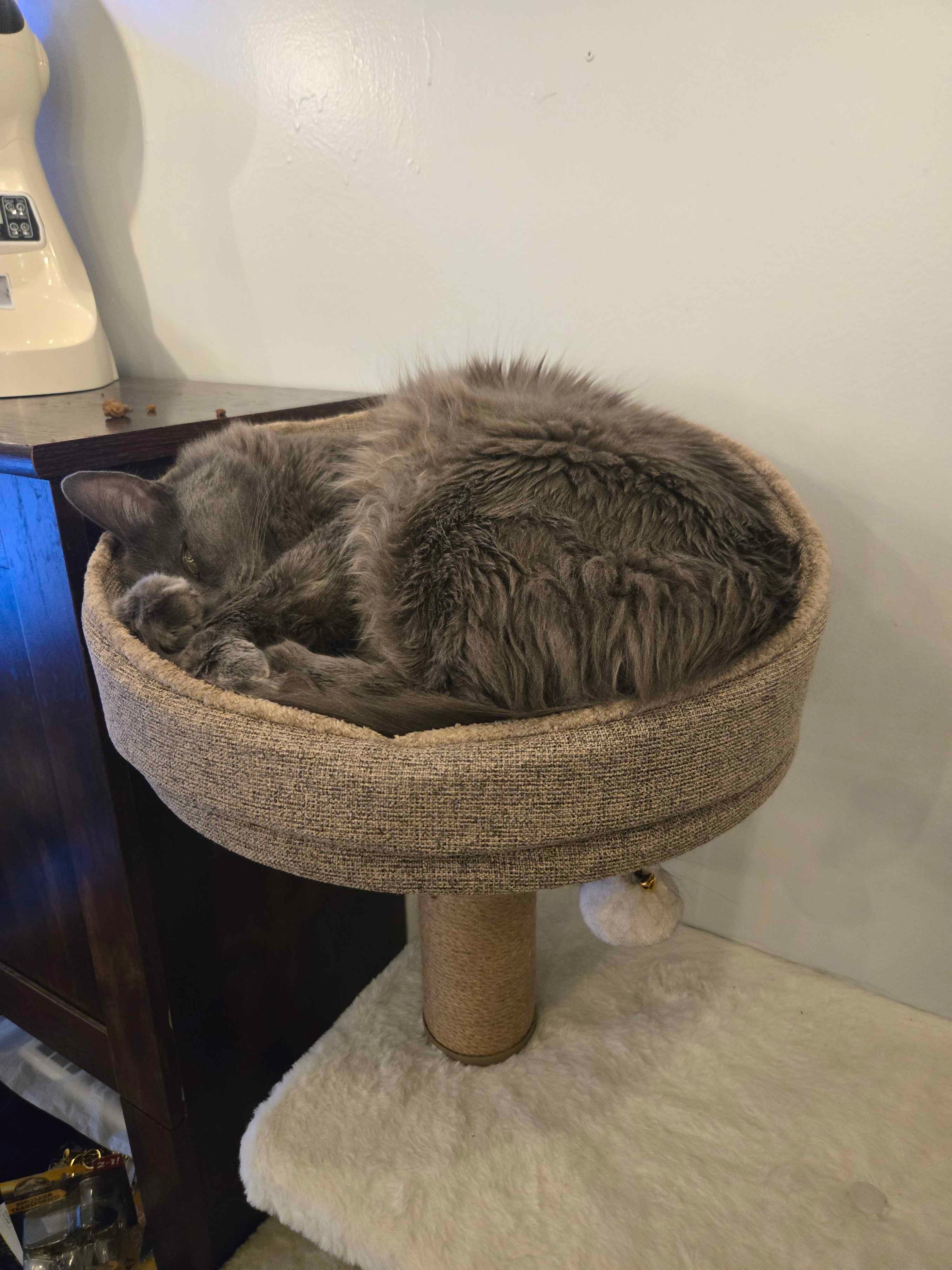 Help Catastrophe Get Cancer Treatment and Care campaign photo, 4 of 8
