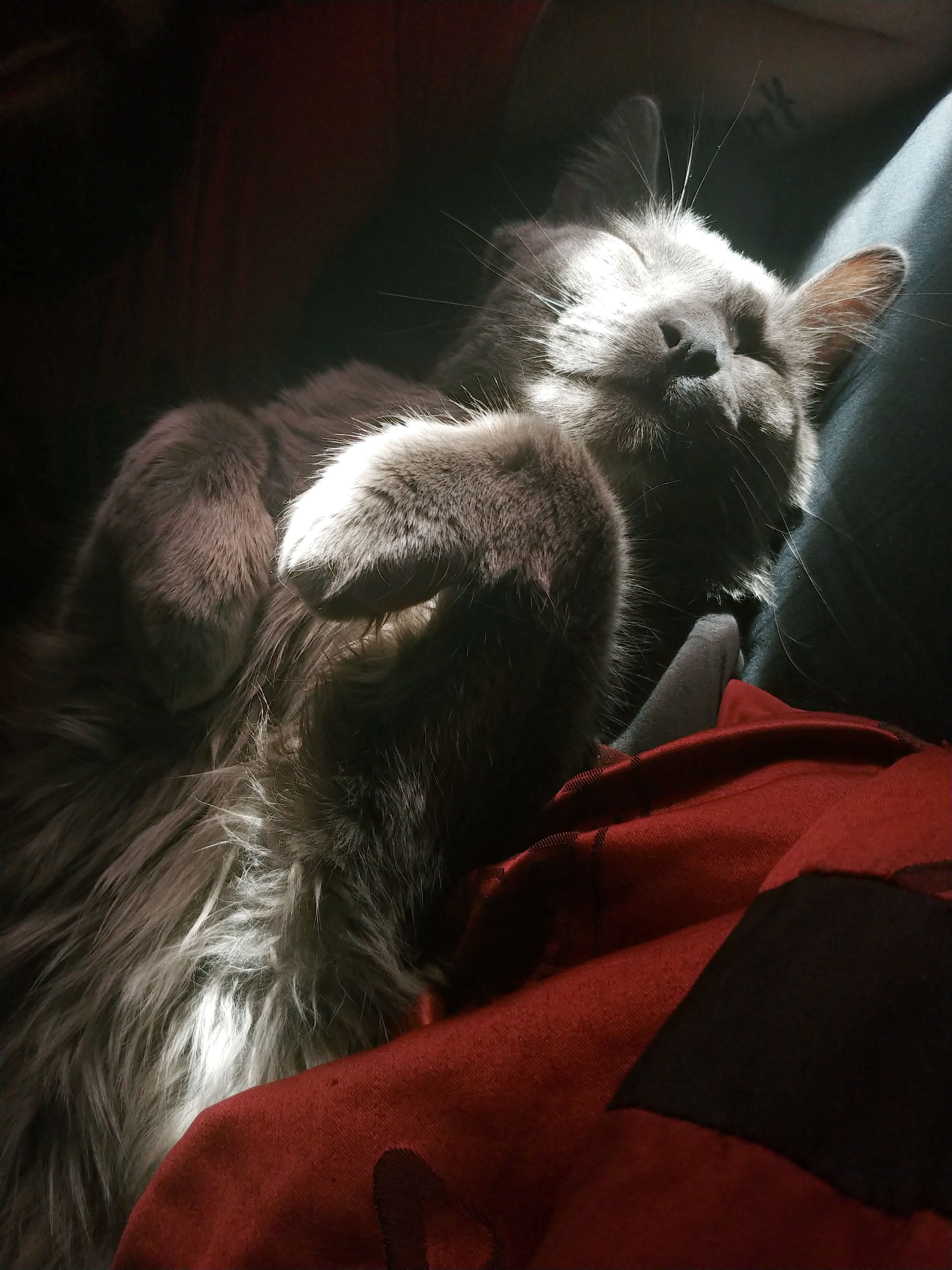 Help Catastrophe Get Cancer Treatment and Care campaign photo, 6 of 8