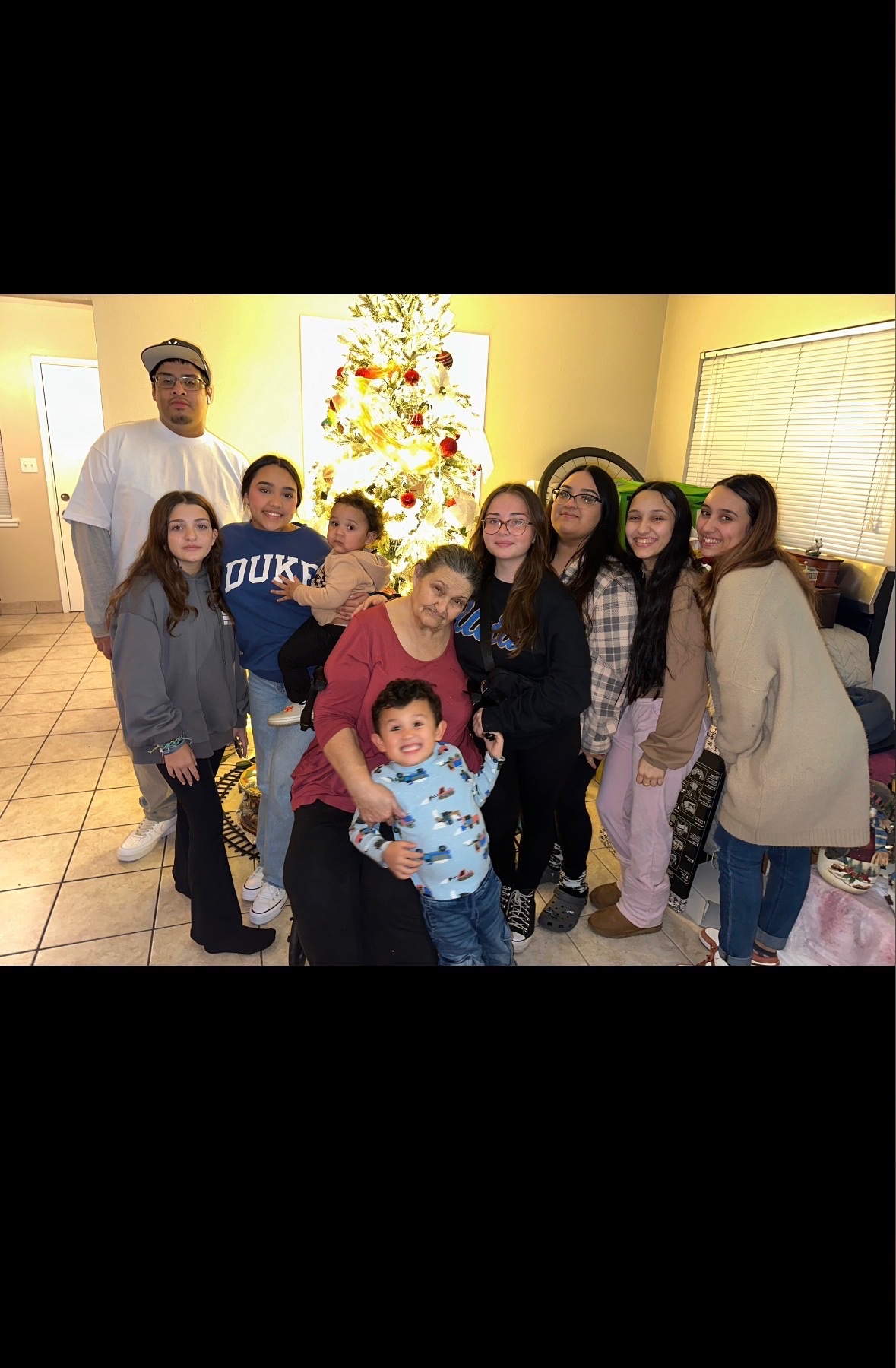 Gisella Luna  A Loving Farewell for Ann Luna gofundme donation