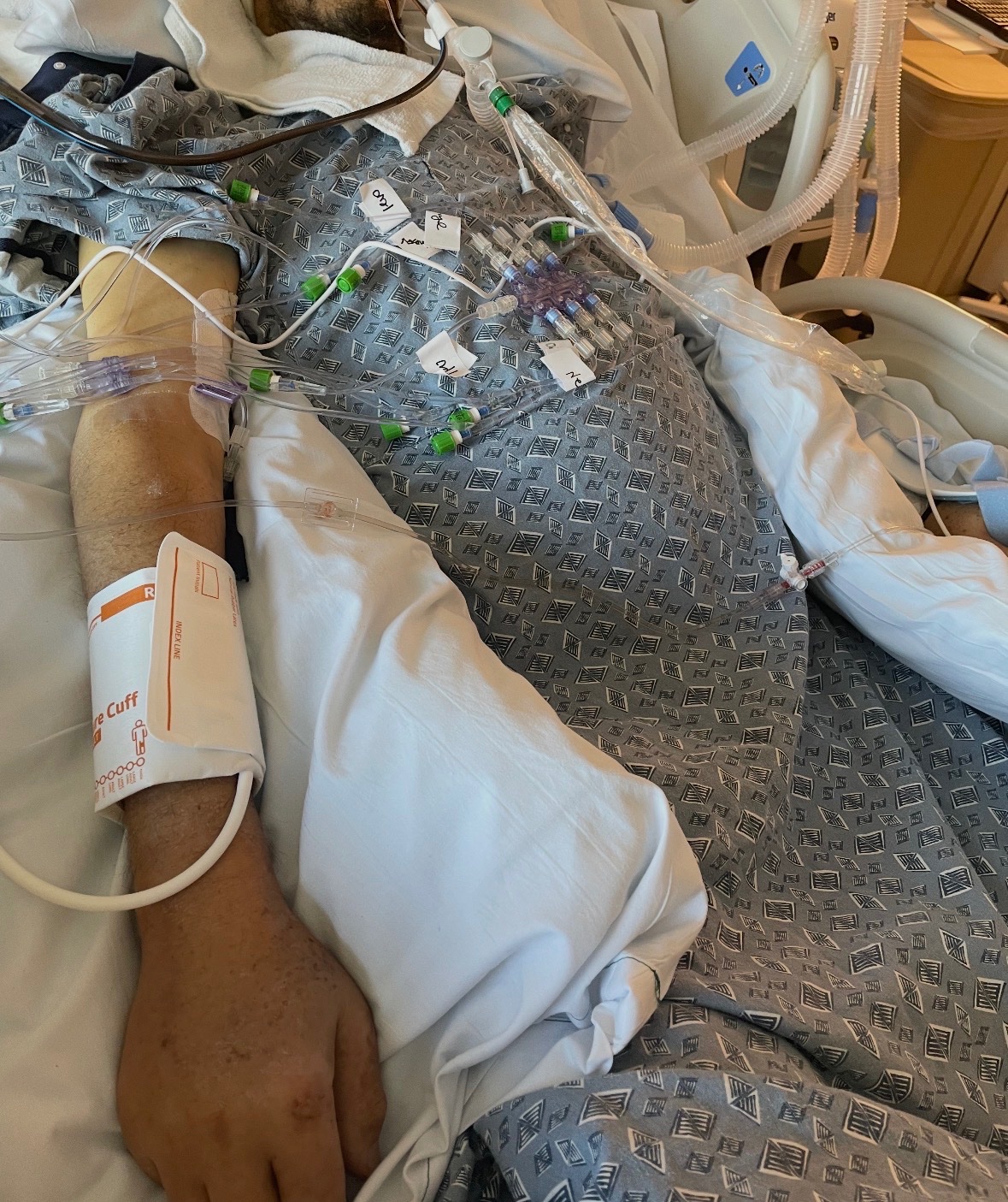 Brenda Perez  In loving memory of Neftali Perez gofundme donation