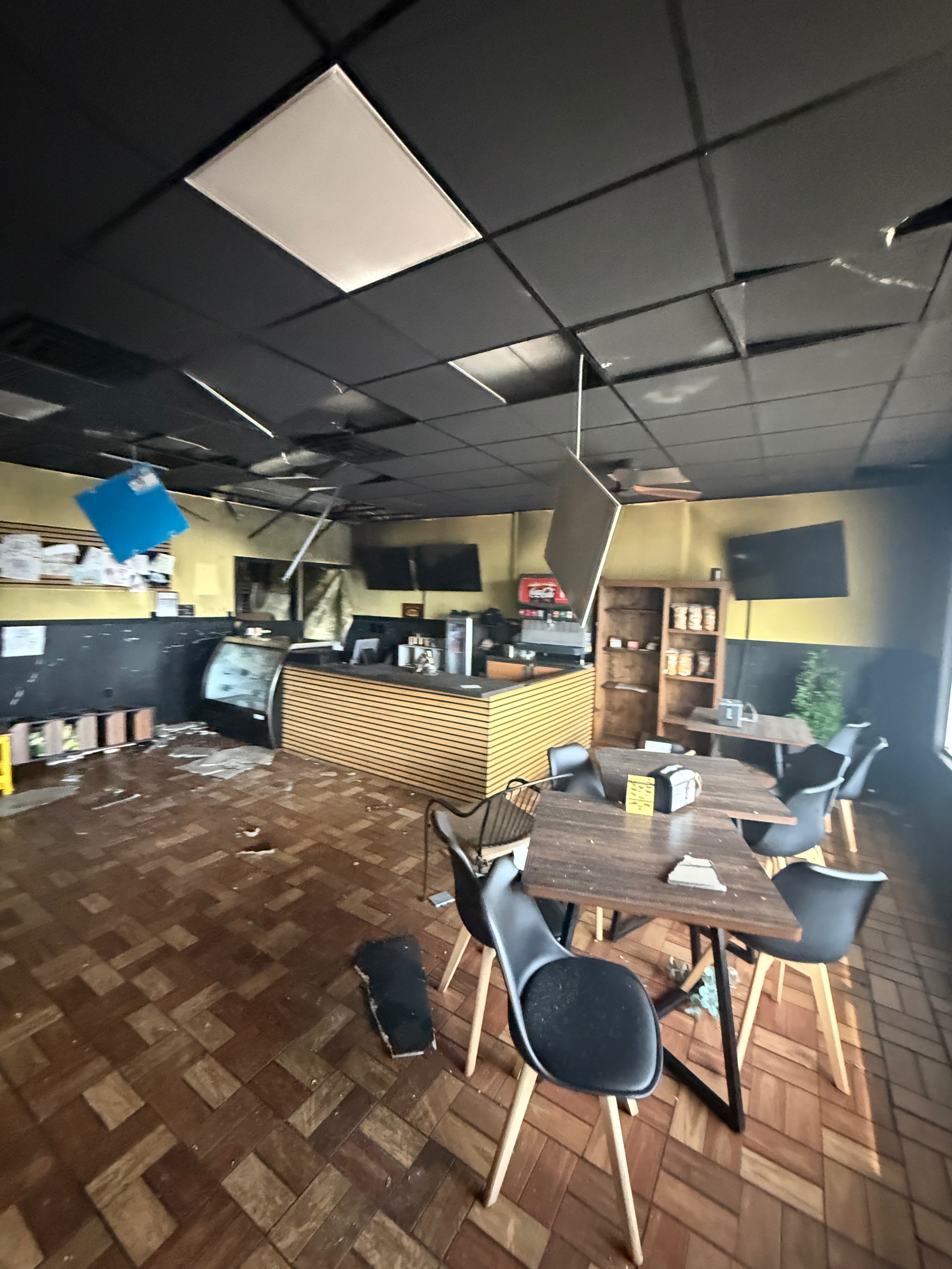 Support Nash Dogs Rebuild After Kitchen Fire campaign photo, 5 of 8