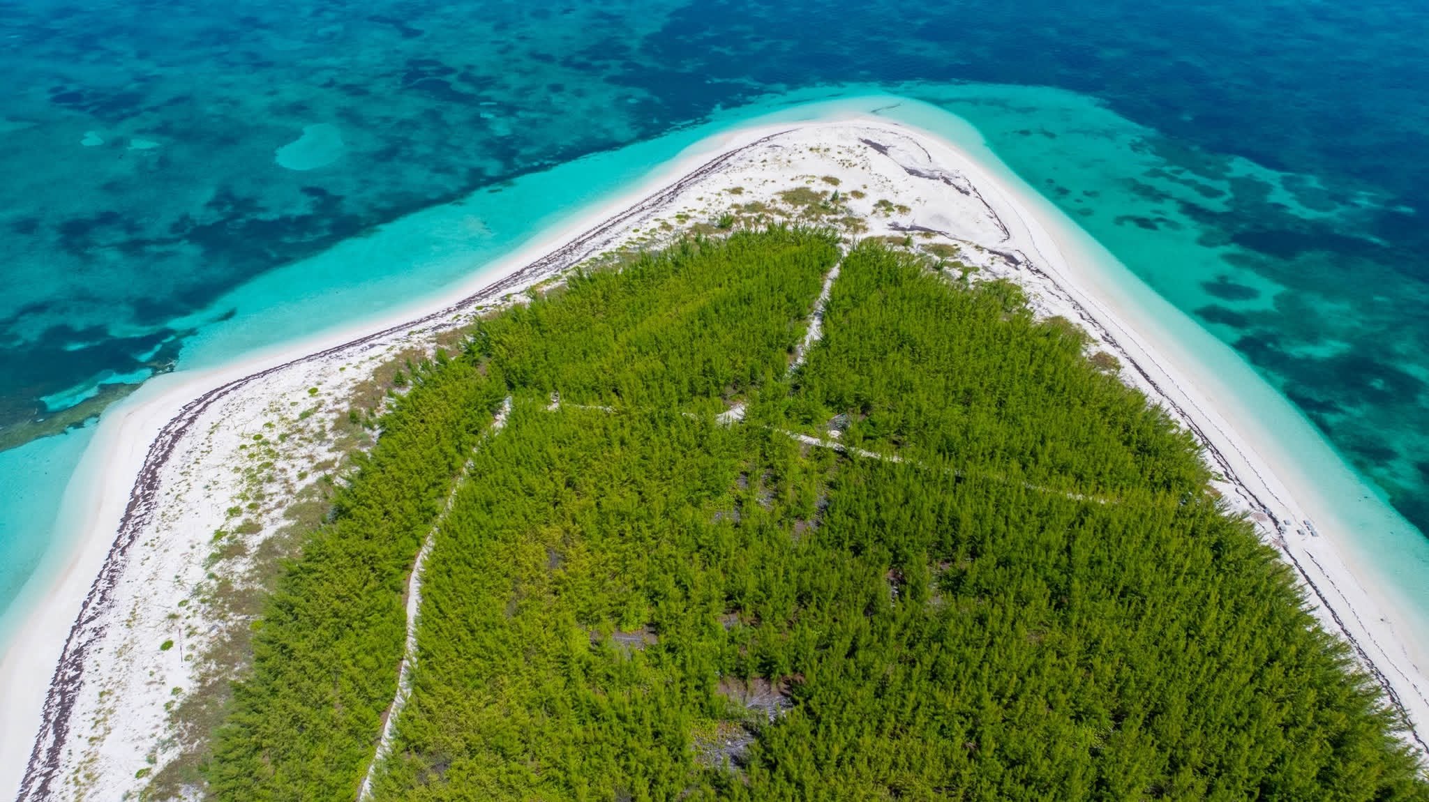 Help Us Preserve Gillam Bay on Green Turtle Cay campaign photo, 5 of 6