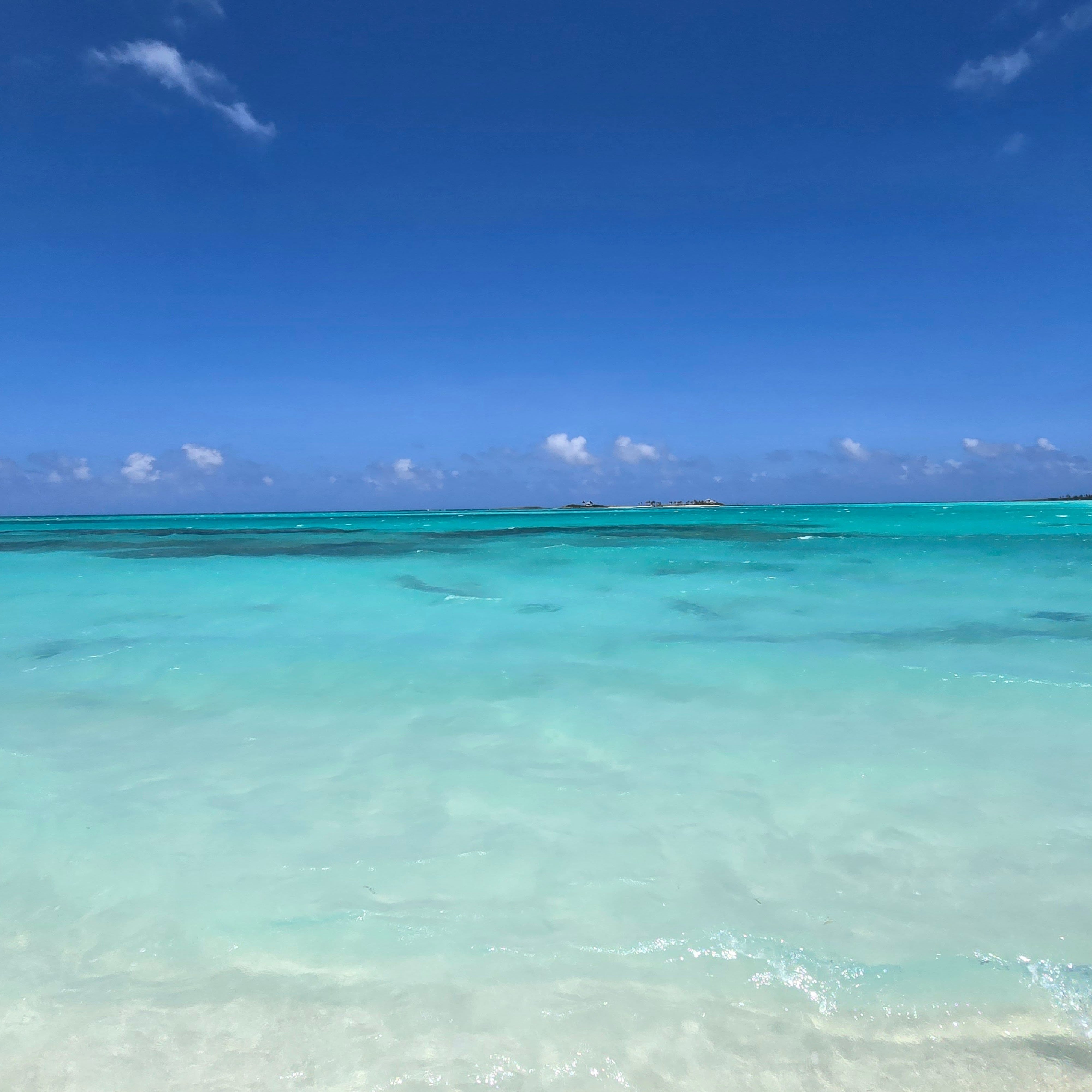 Help Us Preserve Gillam Bay on Green Turtle Cay campaign photo, 4 of 6