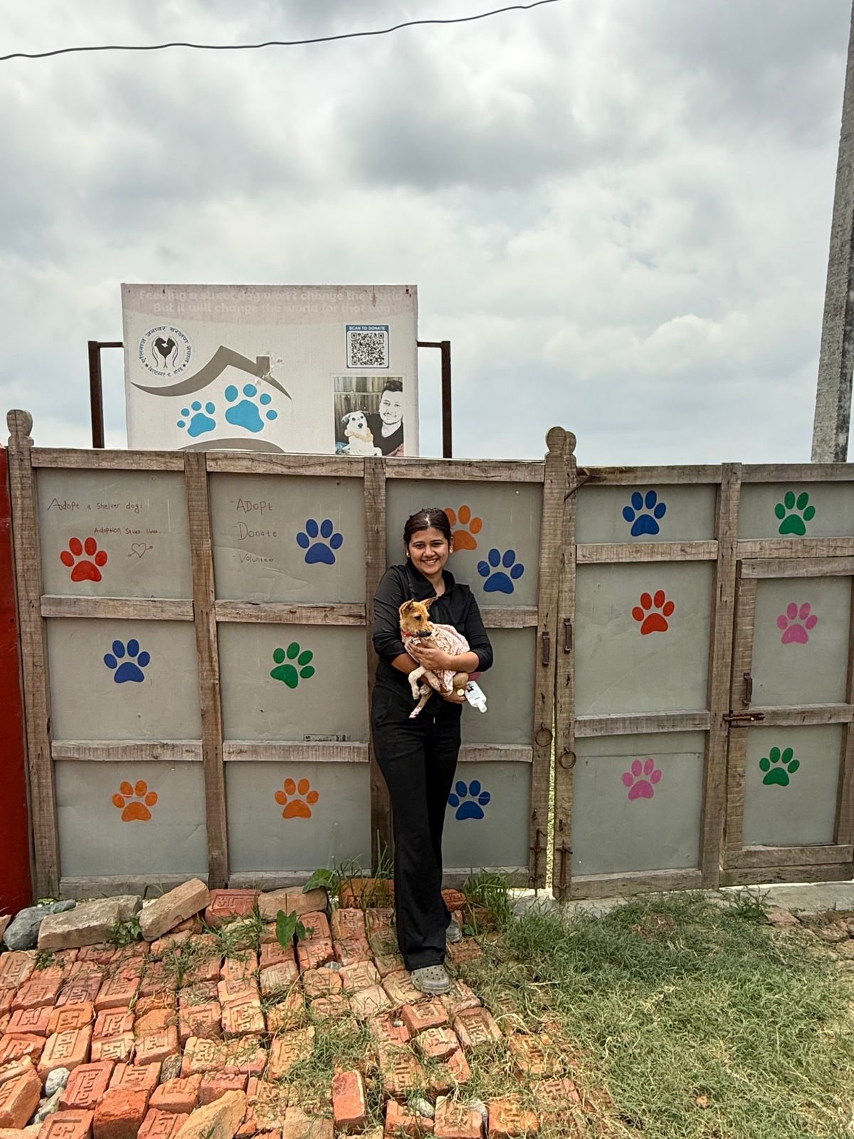 Build Wang Wang's Memorial Statue and Garden campaign photo, 4 of 6