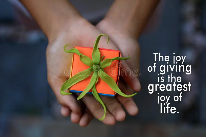 Fuse Christmas Appeal campaign photo, 2 of 4