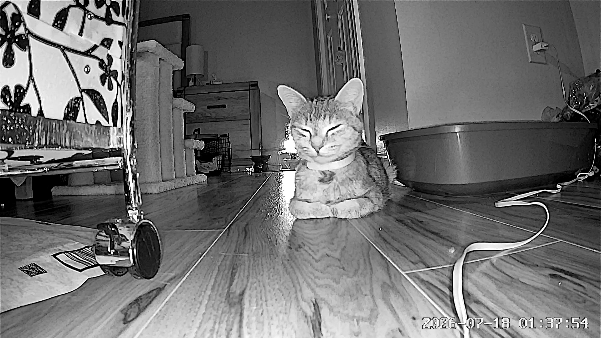 Emergency for Empress Rosie campaign photo, 2 of 8