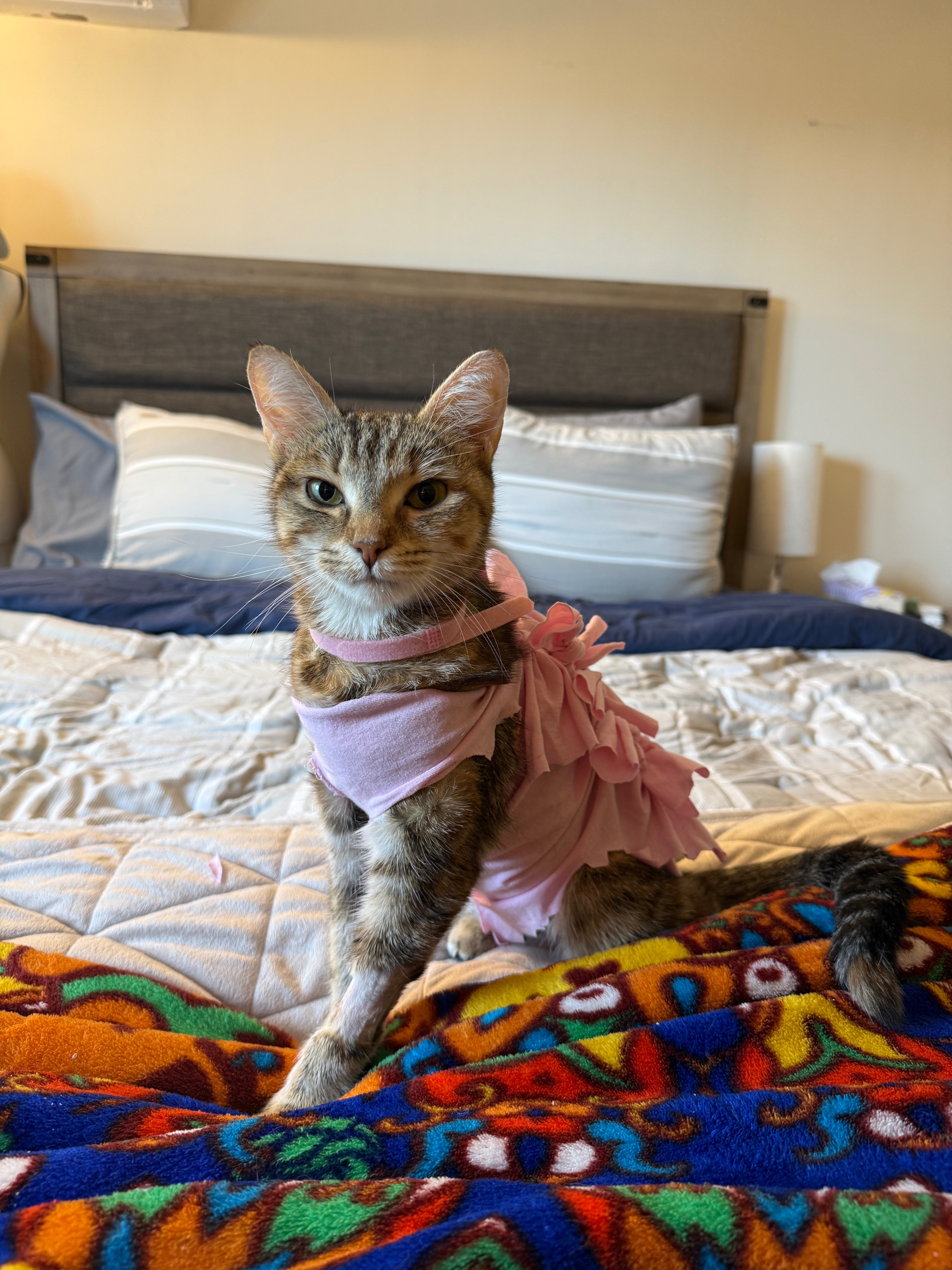 Emergency for Empress Rosie campaign photo, 5 of 8
