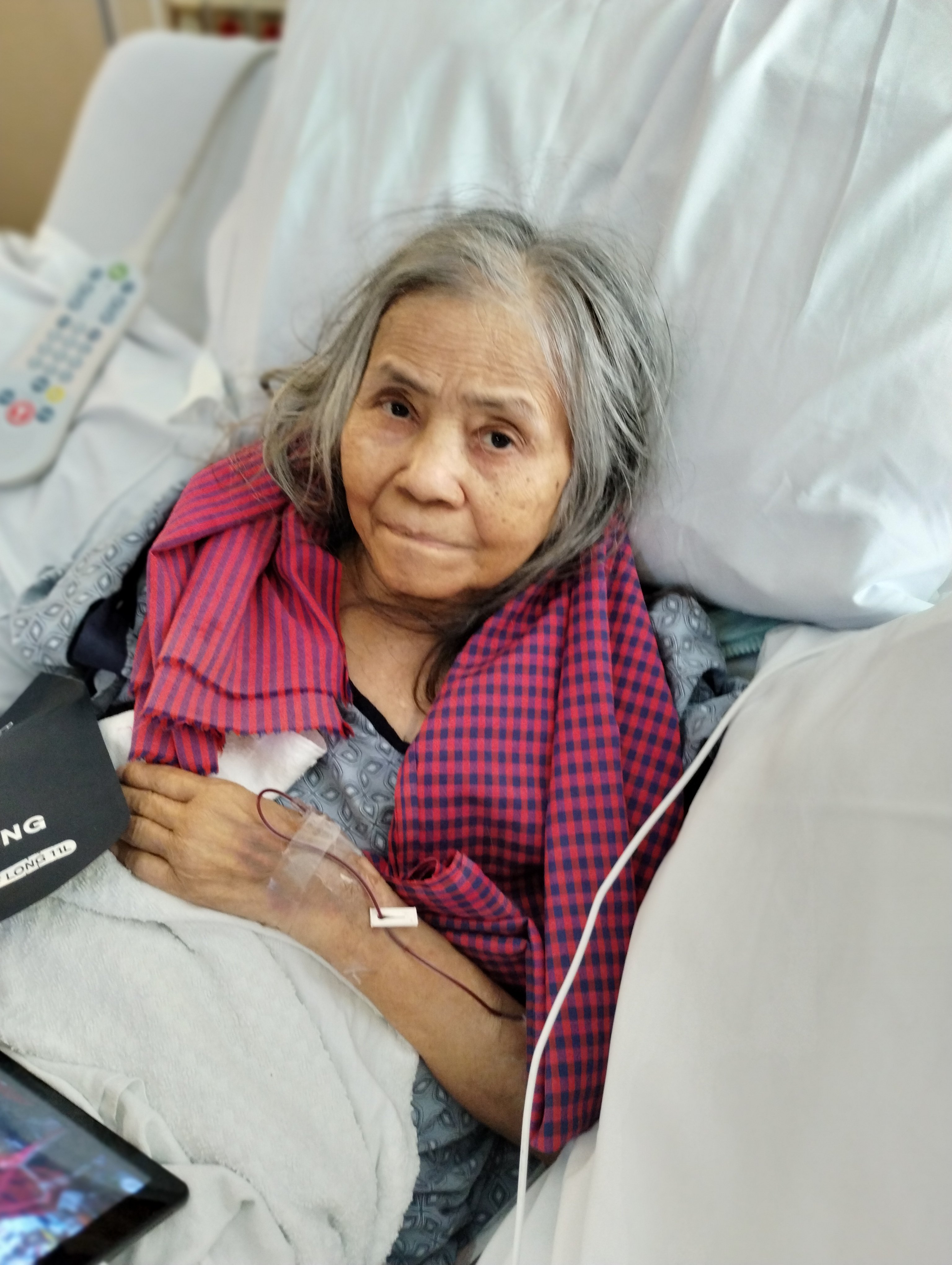 Rich Le  Laying Mama Le To Rest gofundme donation