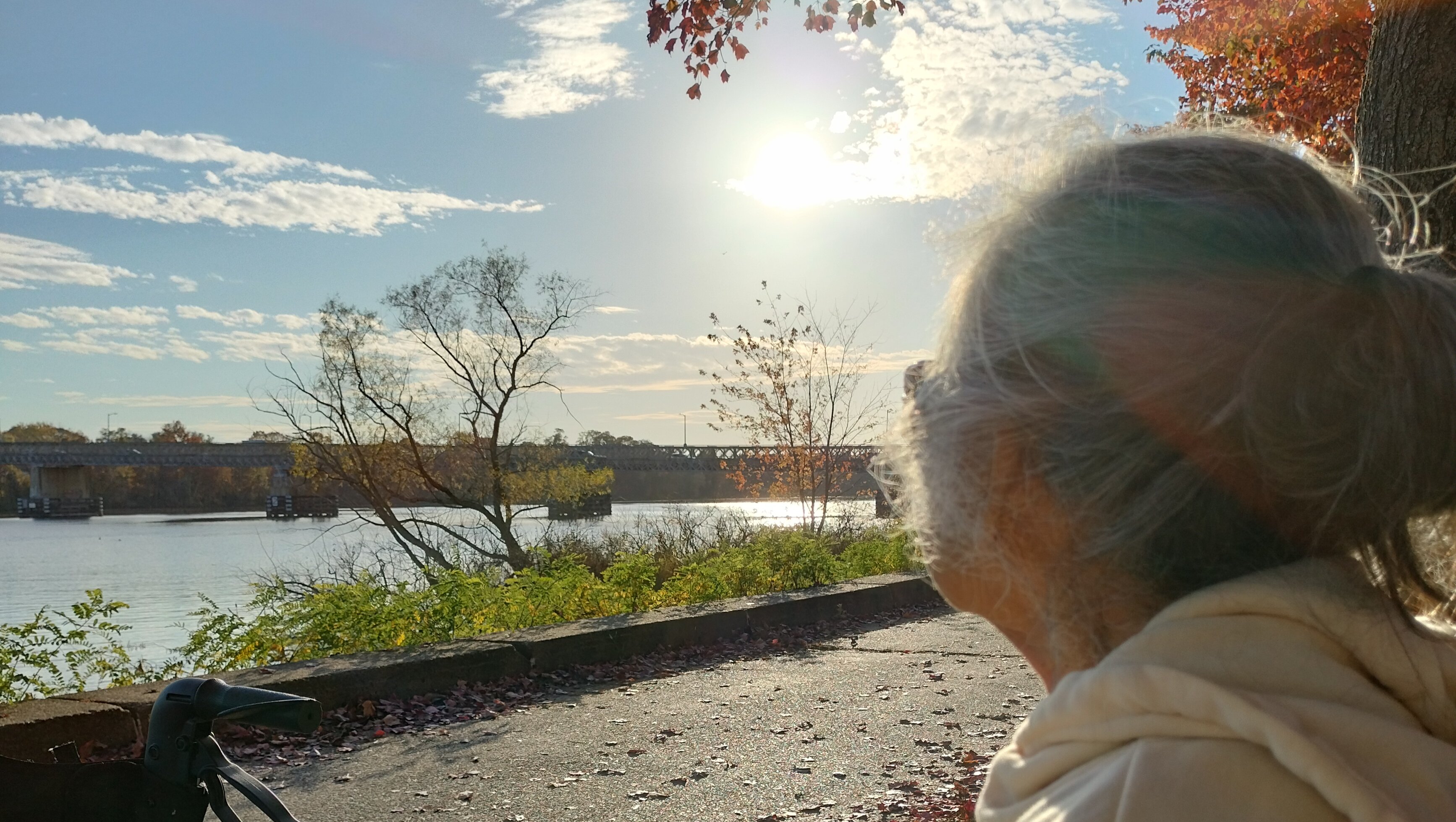 Rich Le  Laying Mama Le To Rest gofundme donation