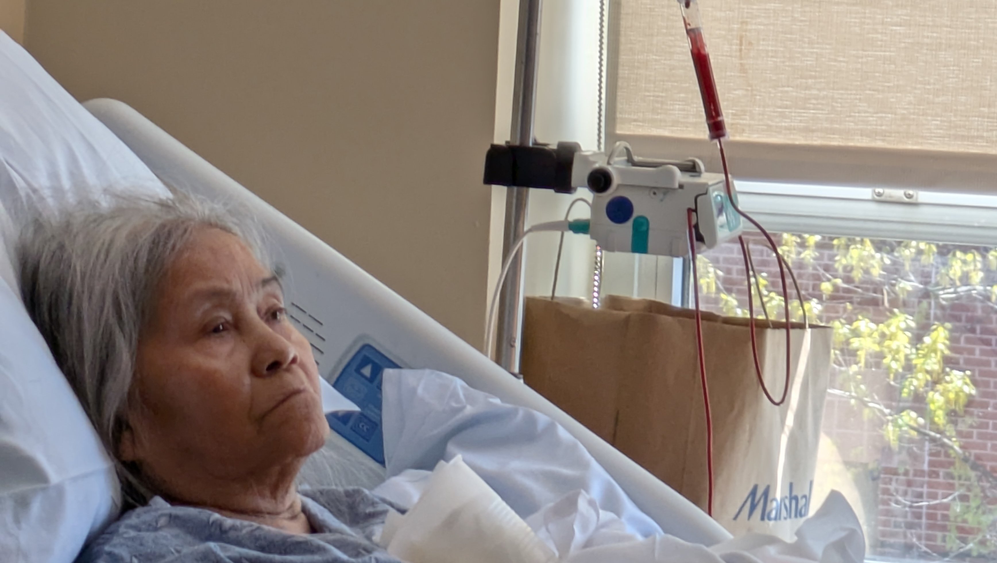 Rich Le  Laying Mama Le To Rest gofundme donation
