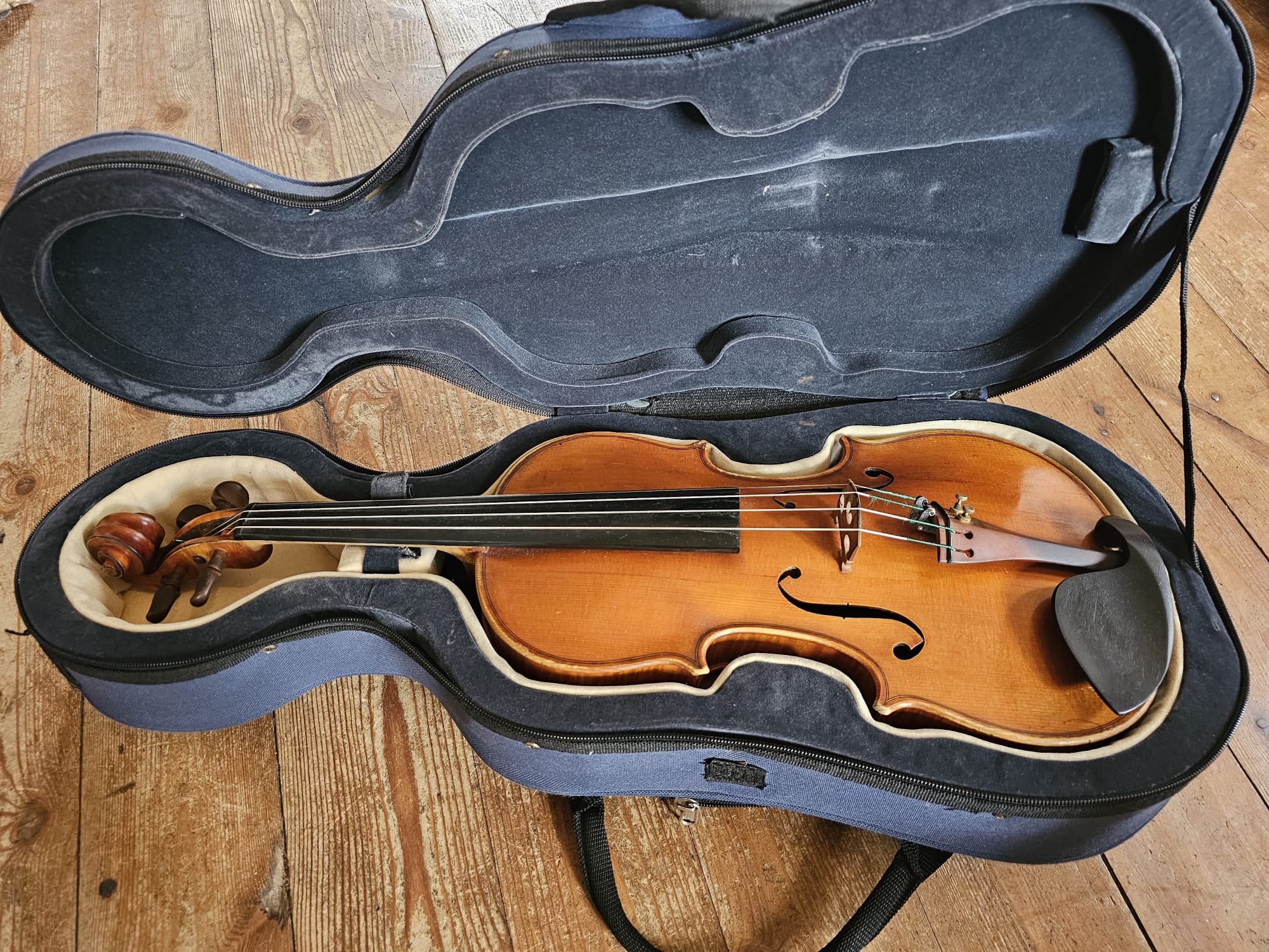 Restituiamo un violino a Elsa campaign photo, 2 of 5