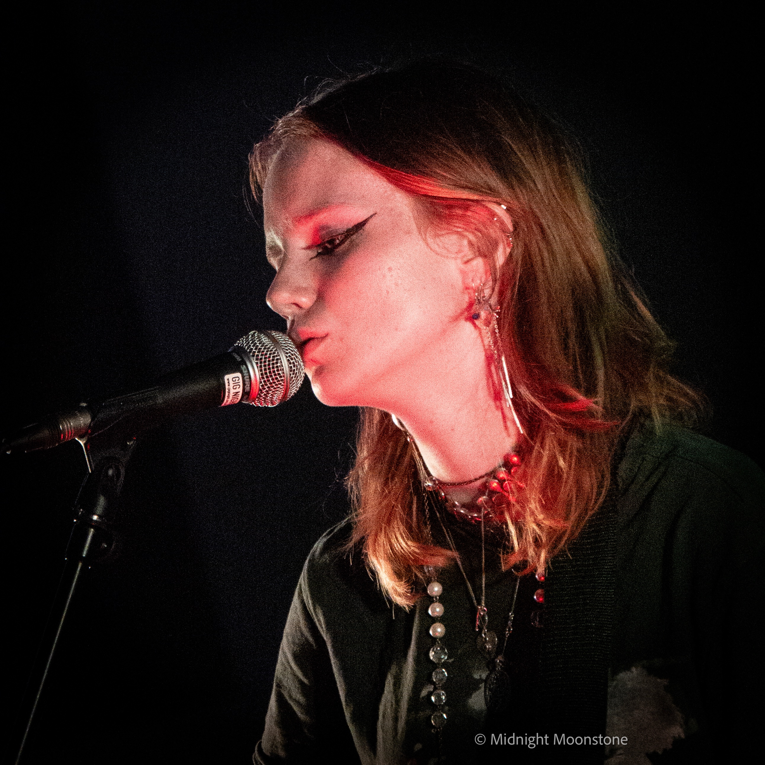 Help me to upgrade my camera equipment for gig photography campaign photo, 2 of 8
