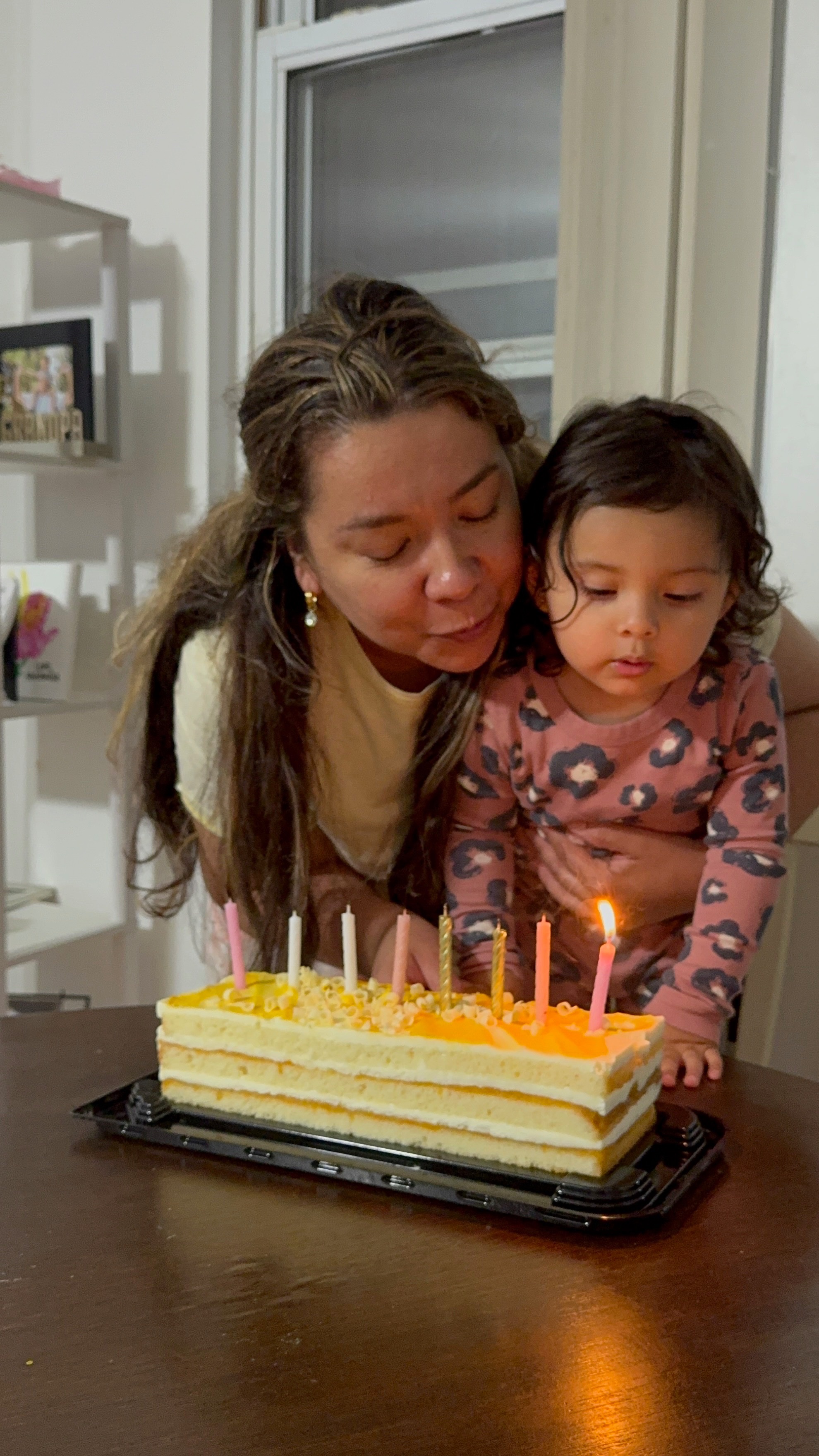 Help Erika & Edgard Fight ICE Detention campaign photo, 6 of 7