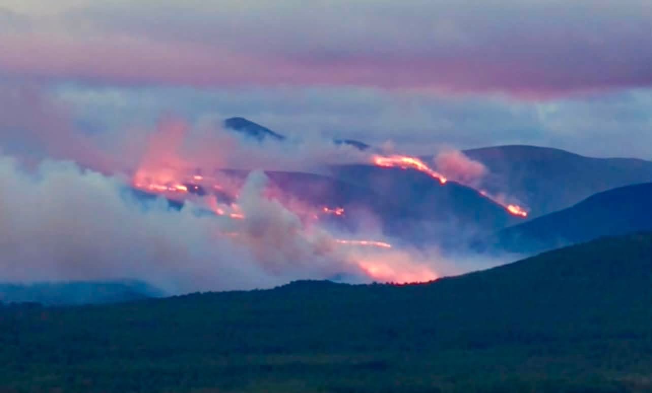 Together for the Cairngorms: Wildfire Recovery Fund campaign photo, 4 of 8
