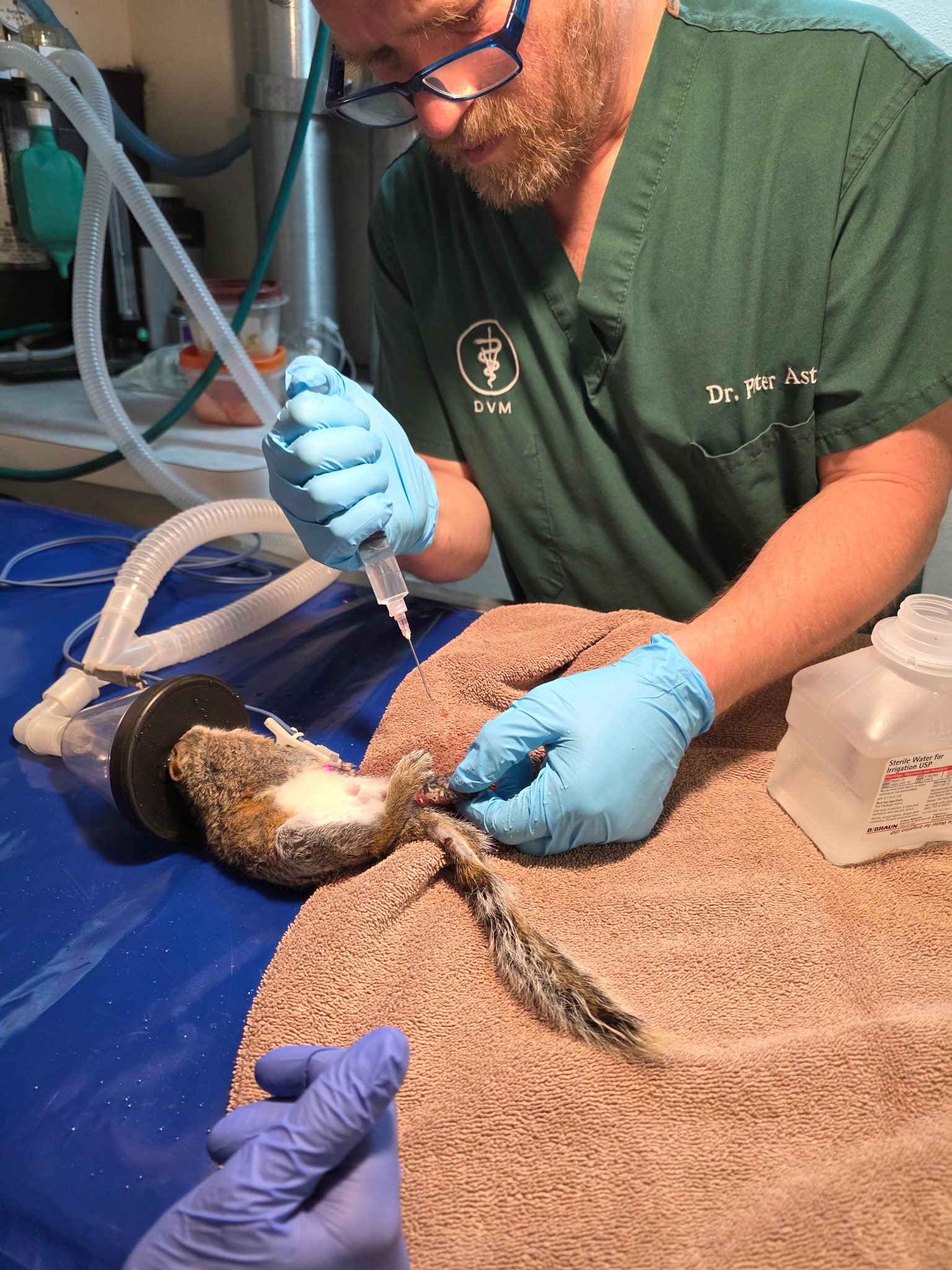 Help Restore Staten Island's Mobile Vet Clinic After Fire campaign photo, 2 of 8