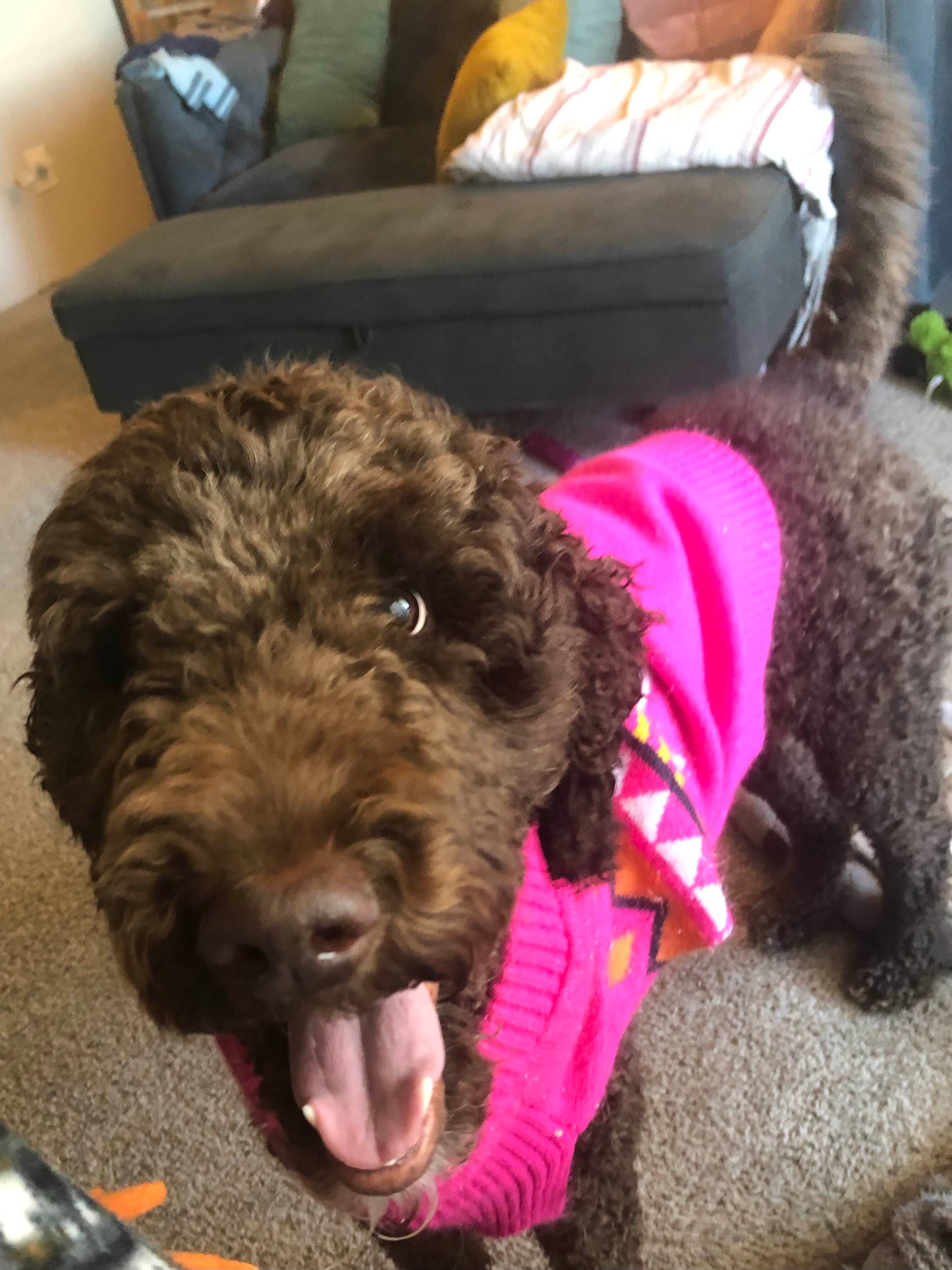 Cahill Forever Home: Stability & Hope campaign photo, 2 of 5